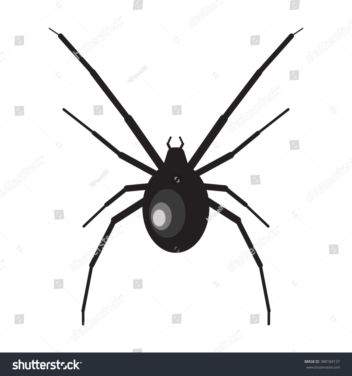 Black Widow Spider Illustration Isolated On Stock Vector 388184137 ...