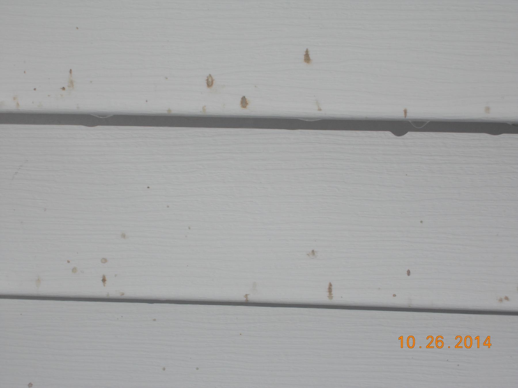 Spider droppings - Residential - Pressure Washing Resource