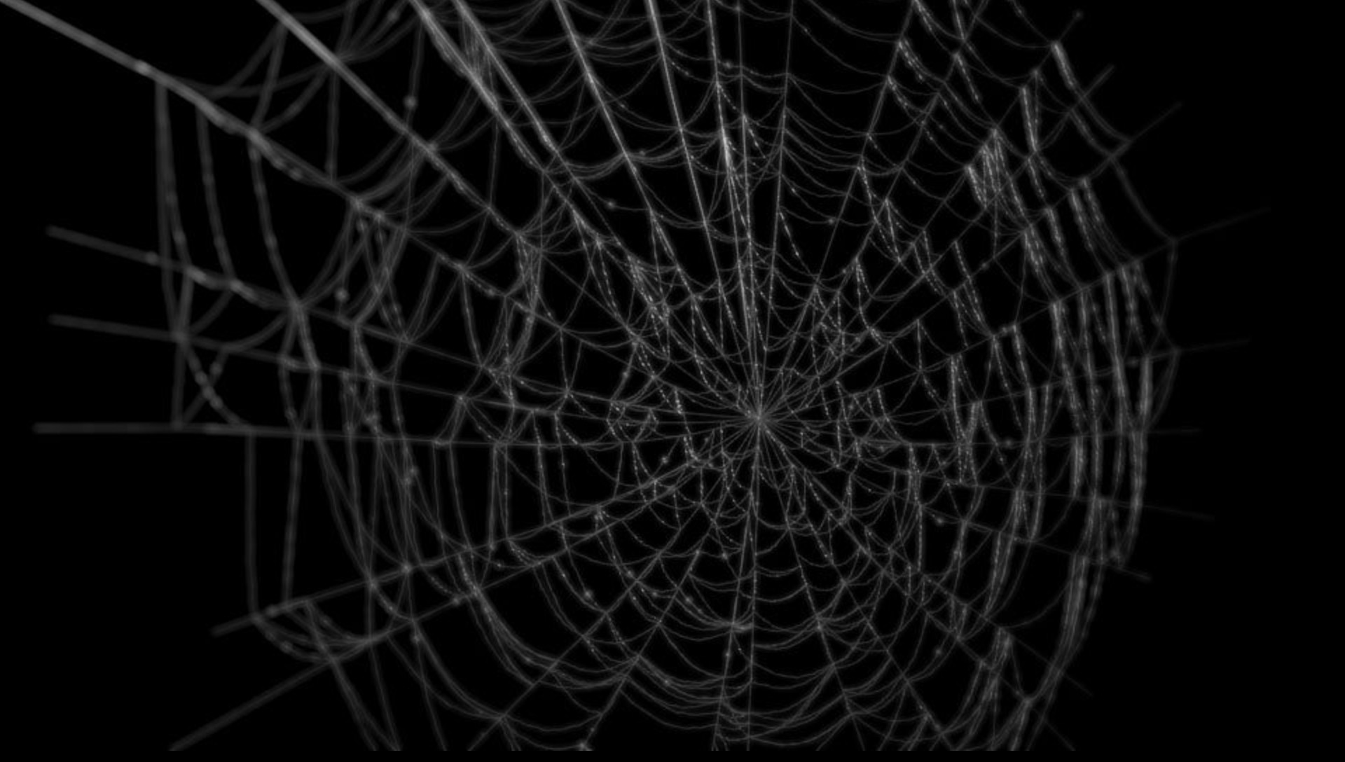 ArtStation - Procedural Spider Web, Ray Della Calce