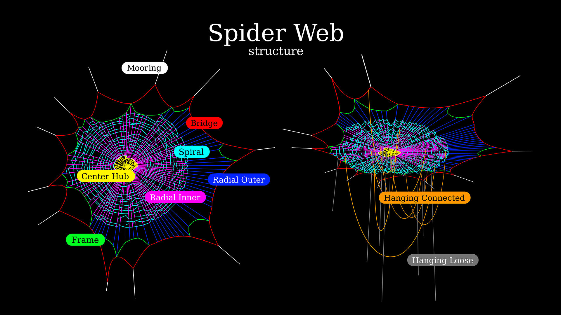 Spider Web generator - Blender MarketSpider Web generator - Blender ...