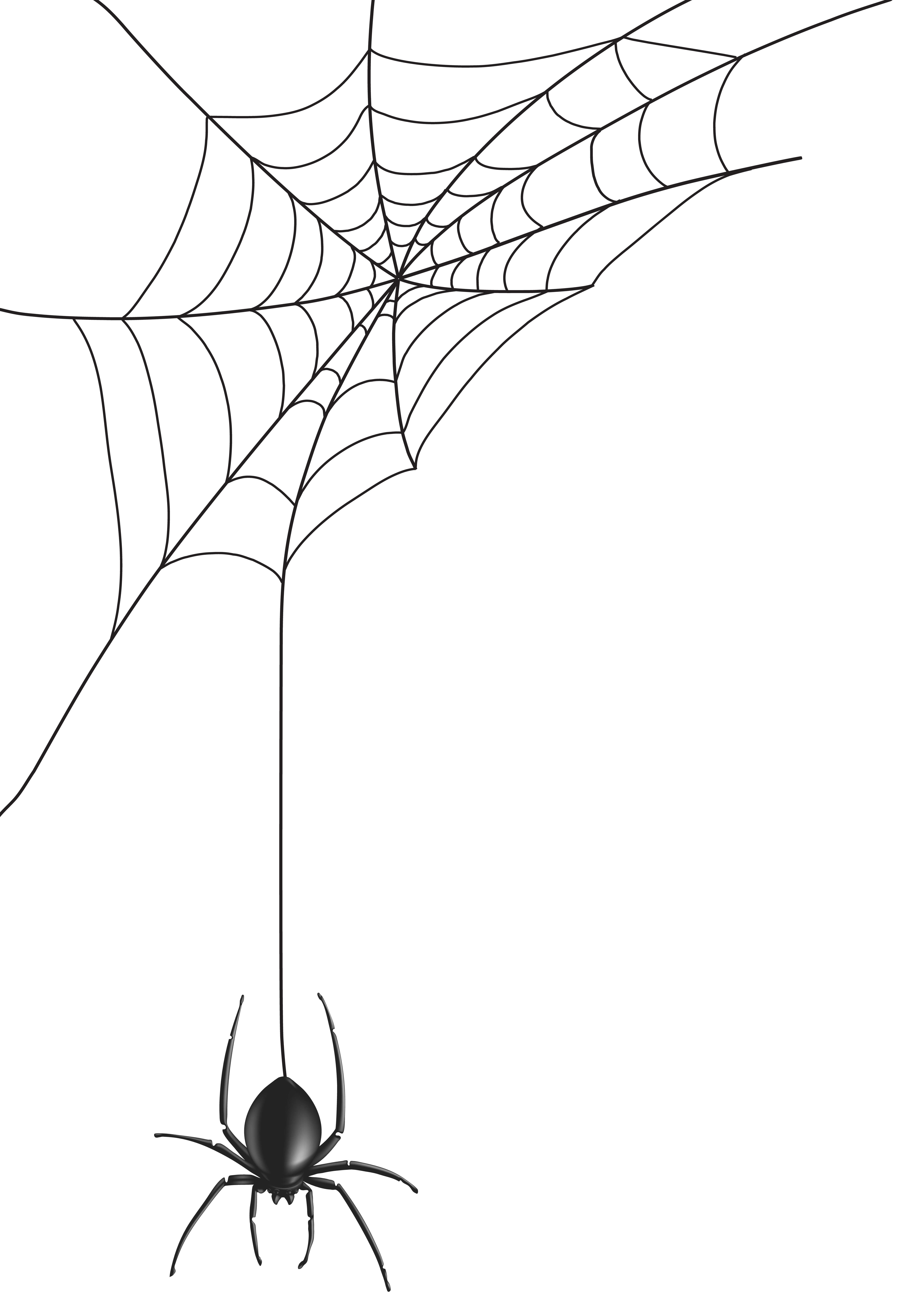 Spider Web PNG Clip Art Image | Gallery Yopriceville - High-Quality ...