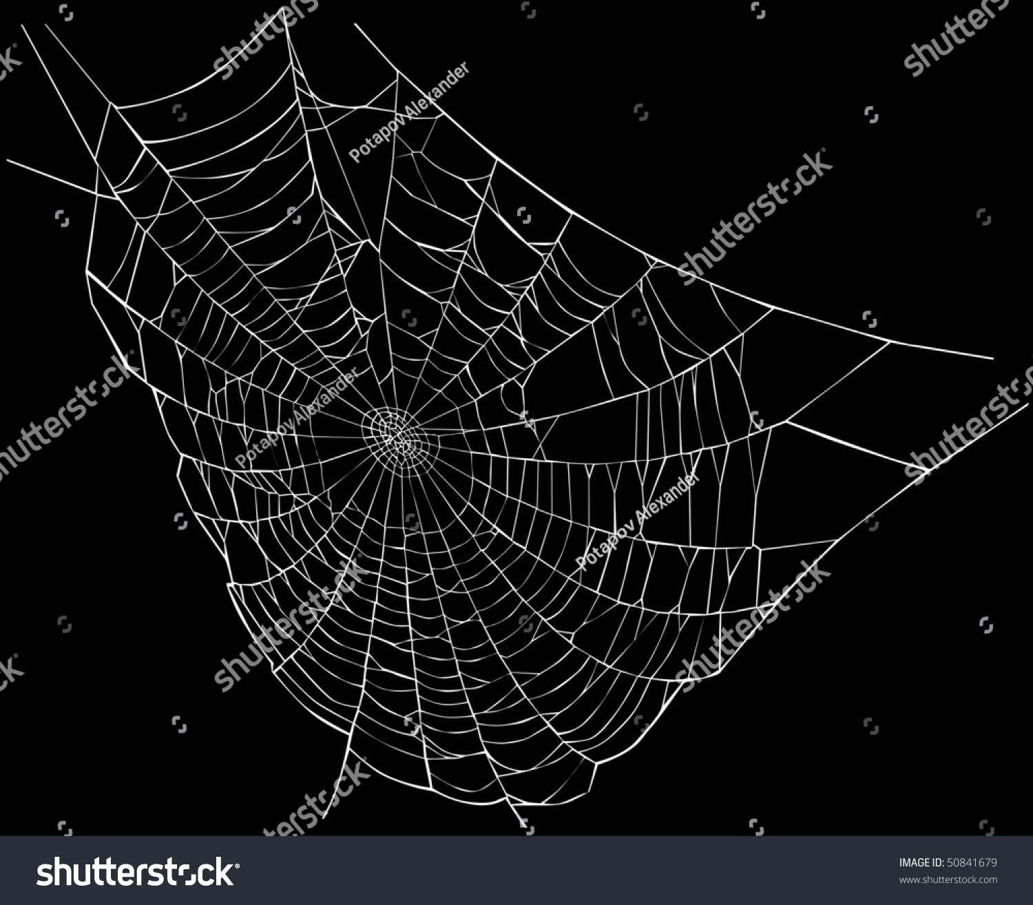 Illustration Spider Web Isolated On Black Stock Illustration ...
