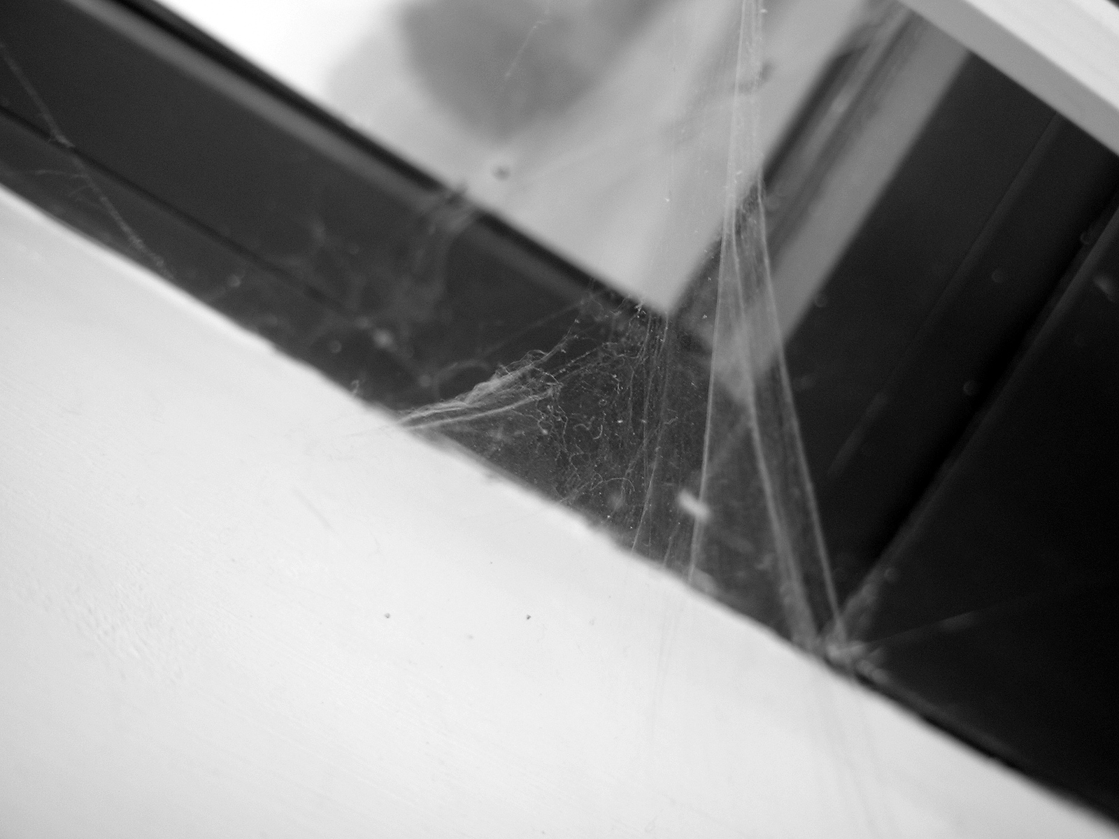 Spiderweb photo