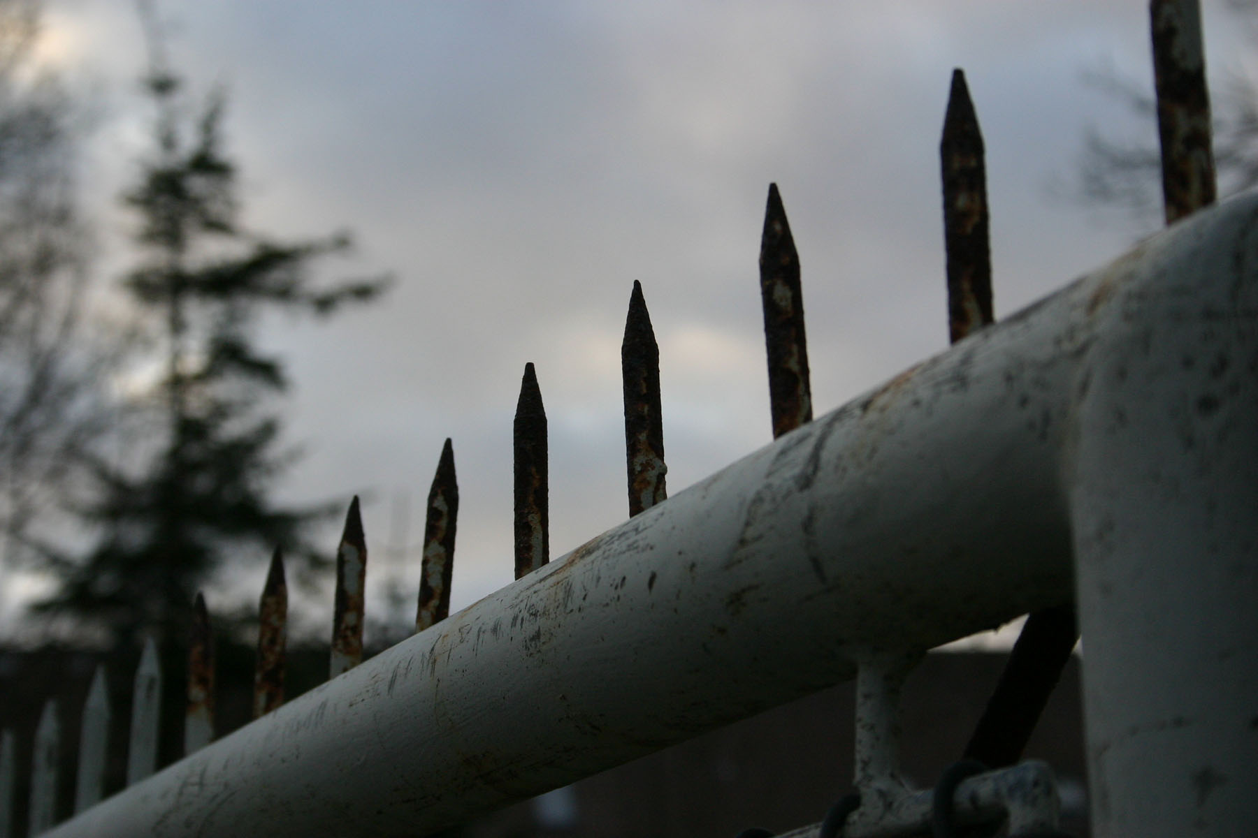 Spikes on a fence photo