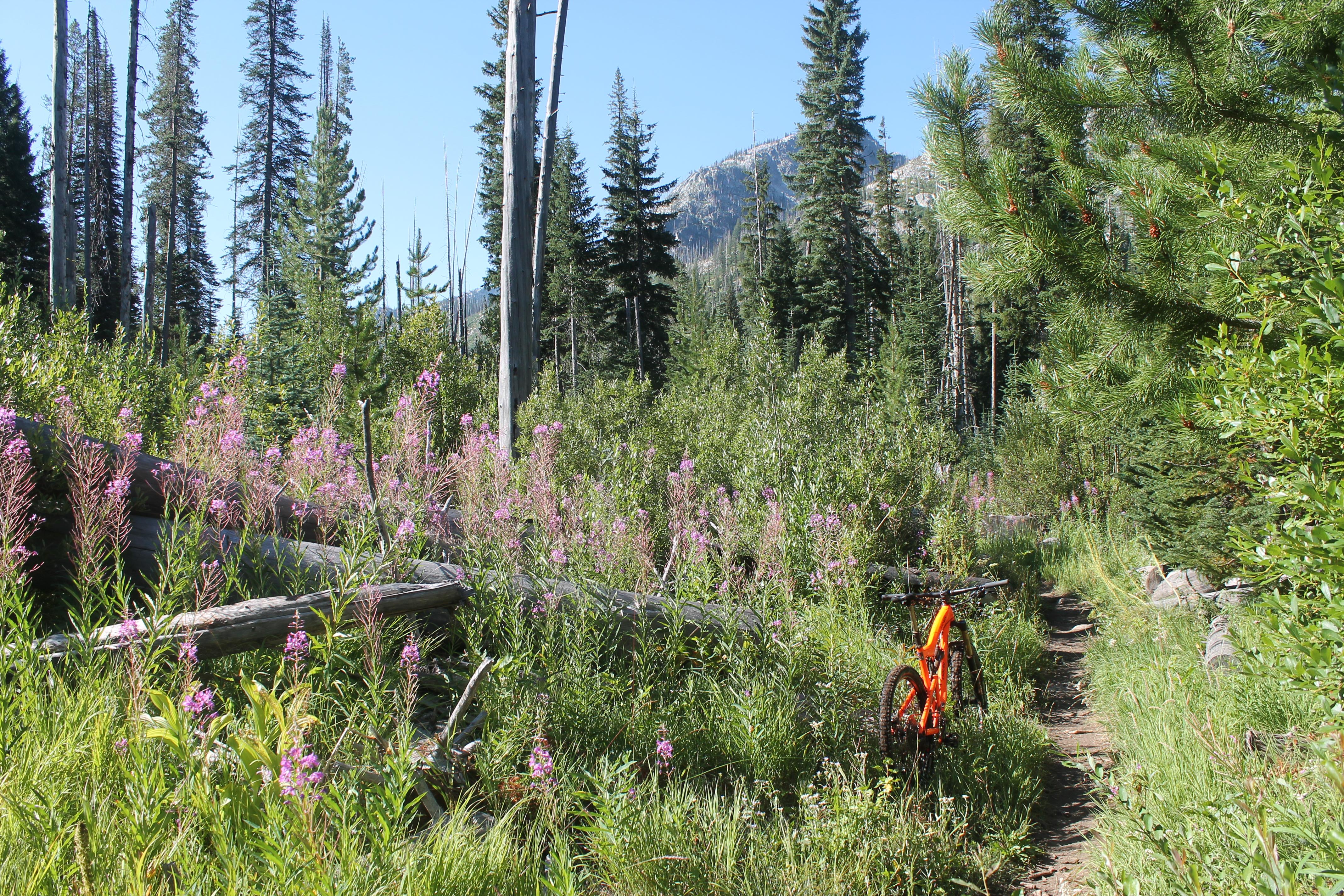 Western Idaho Is McCalling You for a Ride - Singletracks Mountain ...