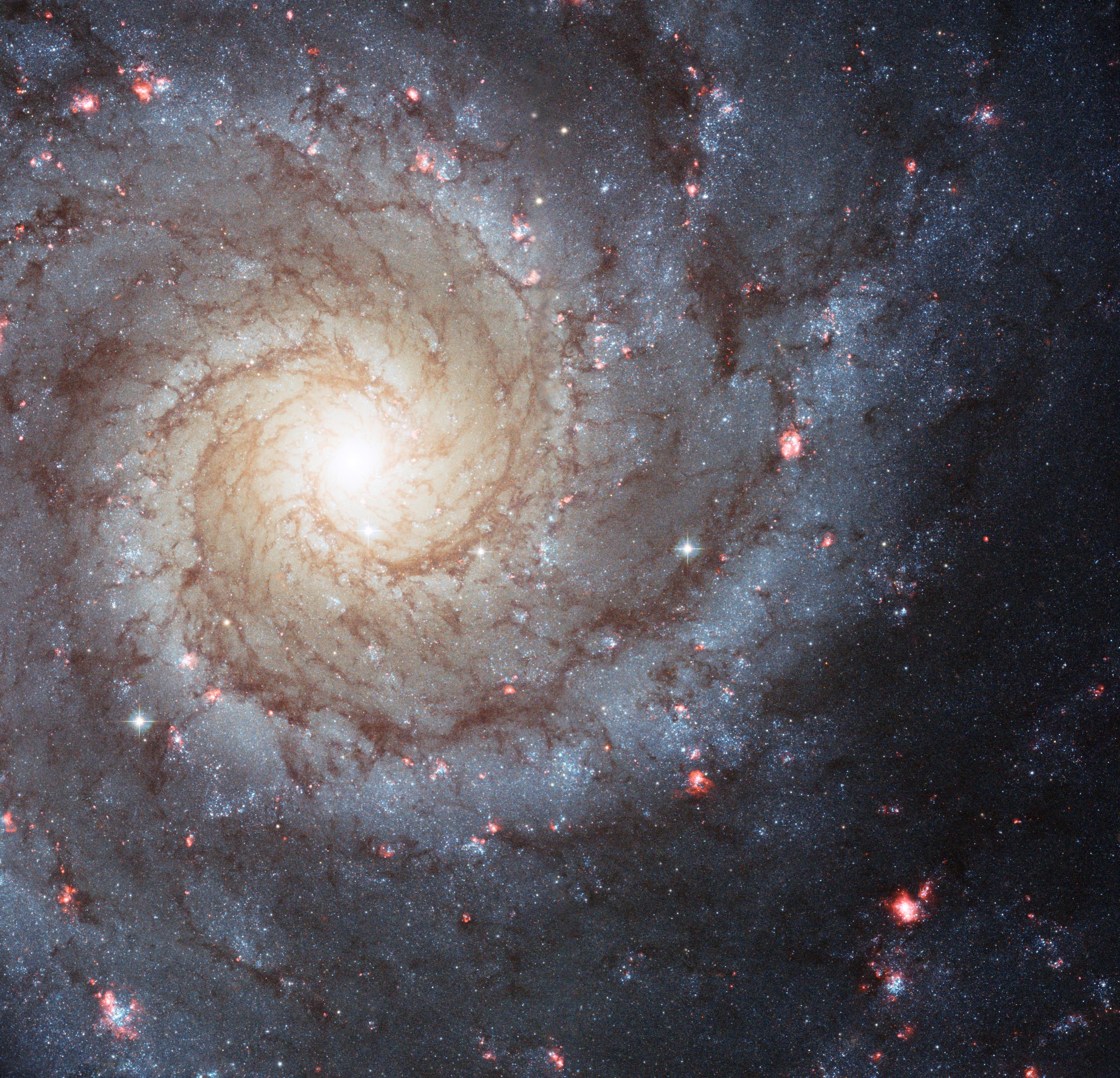 Spiral Galaxy | NASA