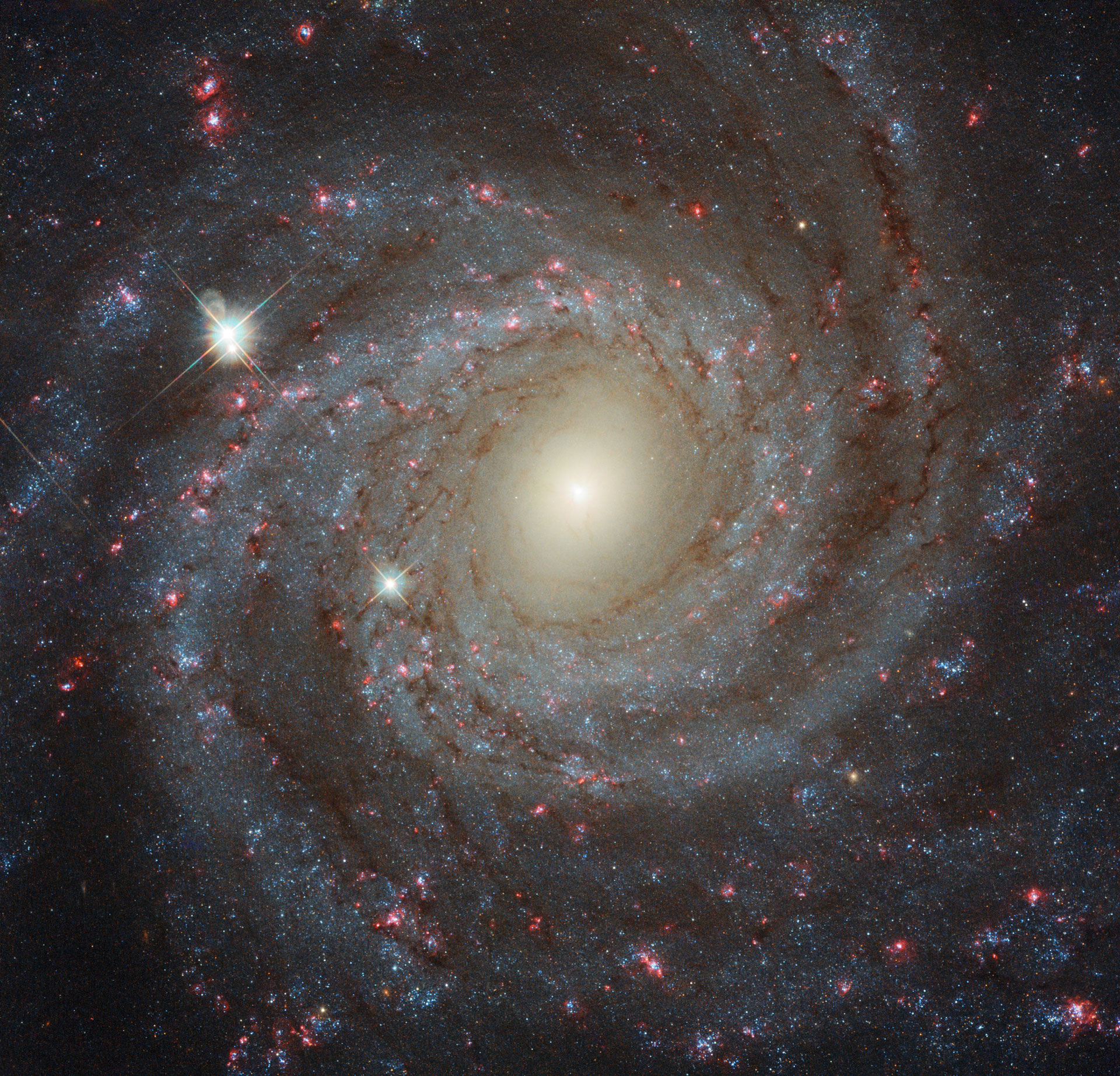 Newly Released Hubble Image of Spiral Galaxy NGC 3344