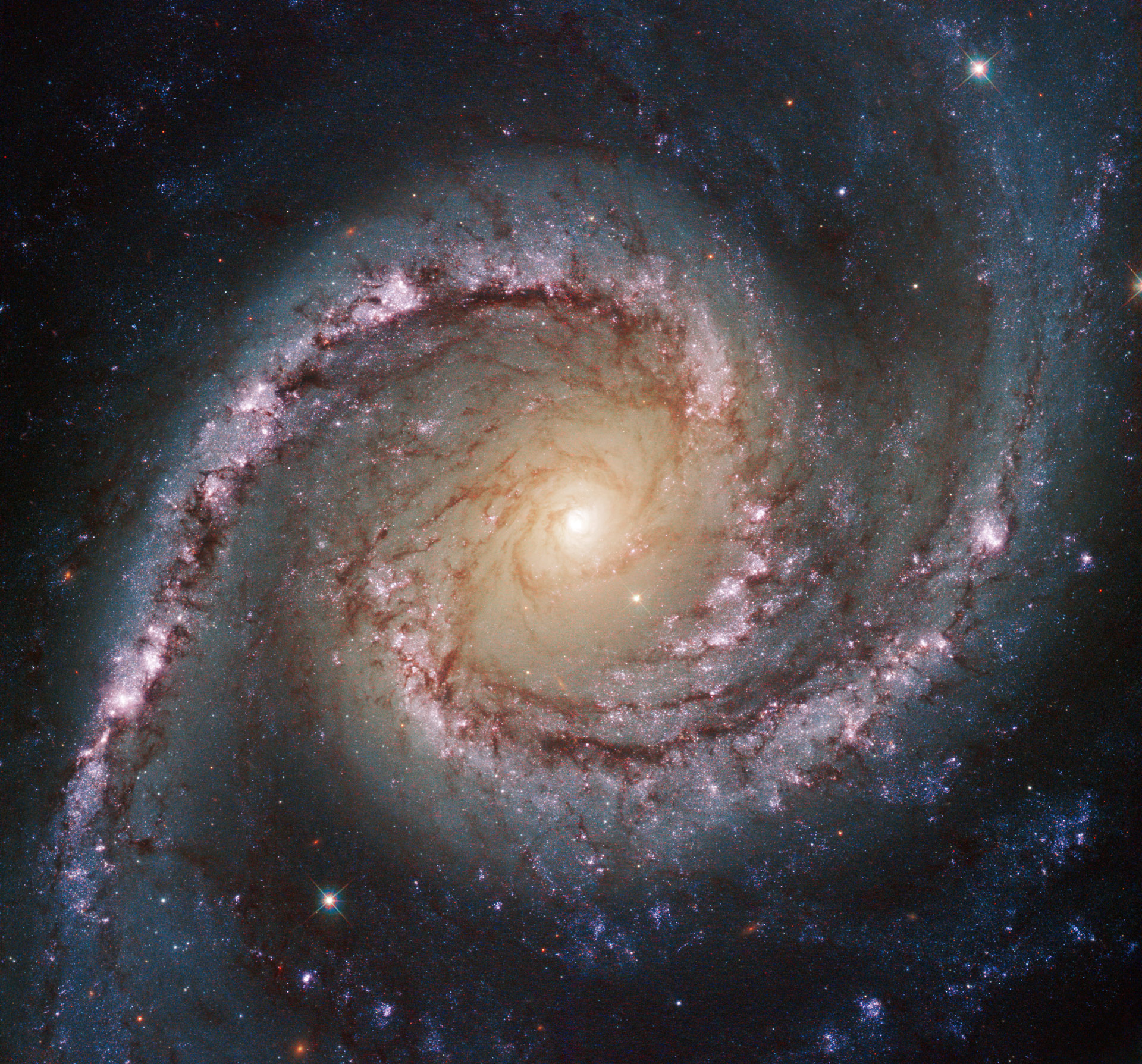 Hubble Views Intermediate Spiral Galaxy NGC 1566