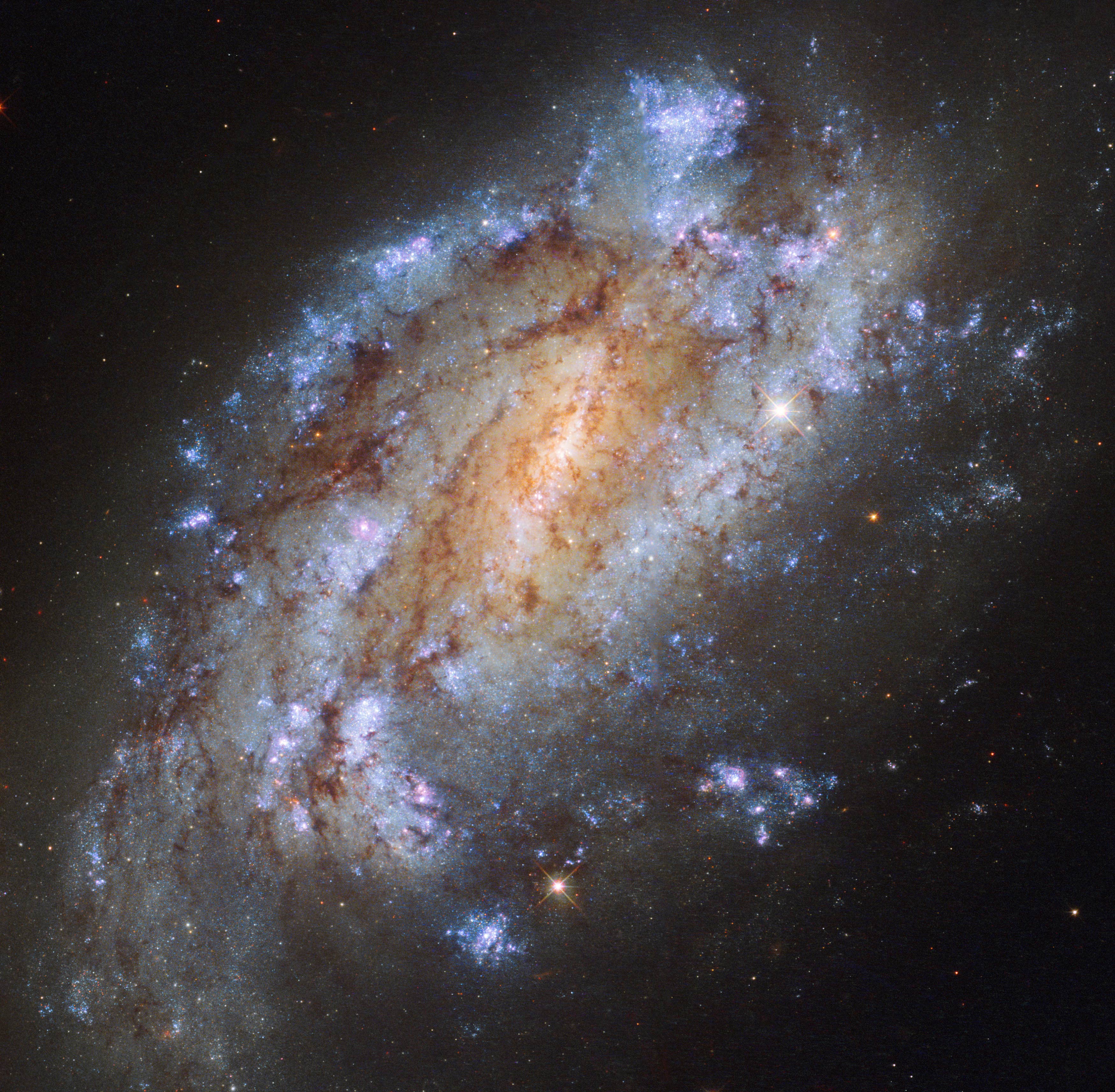 Hubble Sees Spiral Galaxy with Massive Star-Forming Arms | Astronomy ...