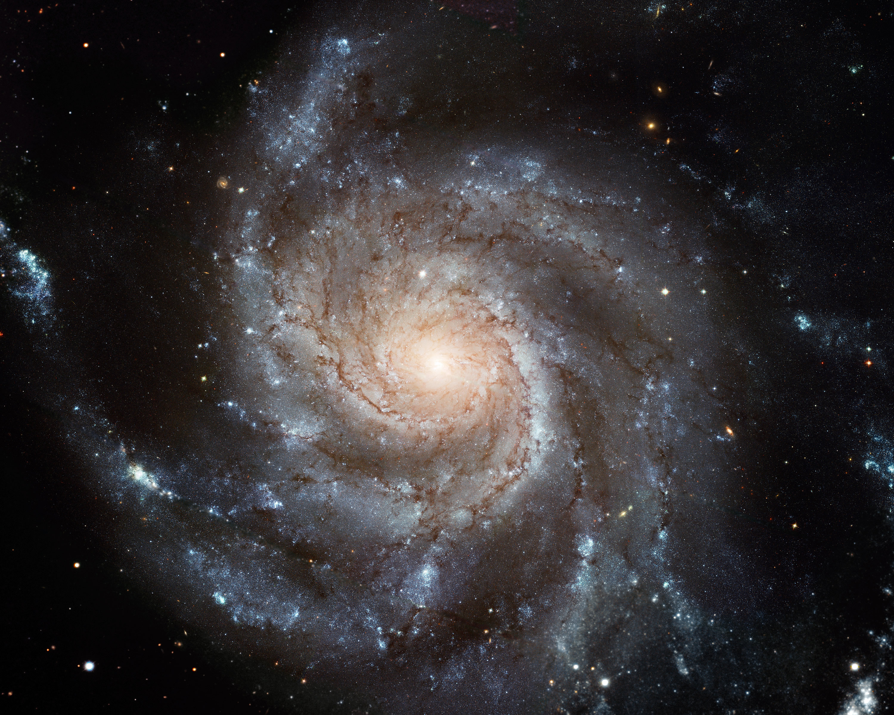 HubbleSite: Image - Spiral Galaxy M101