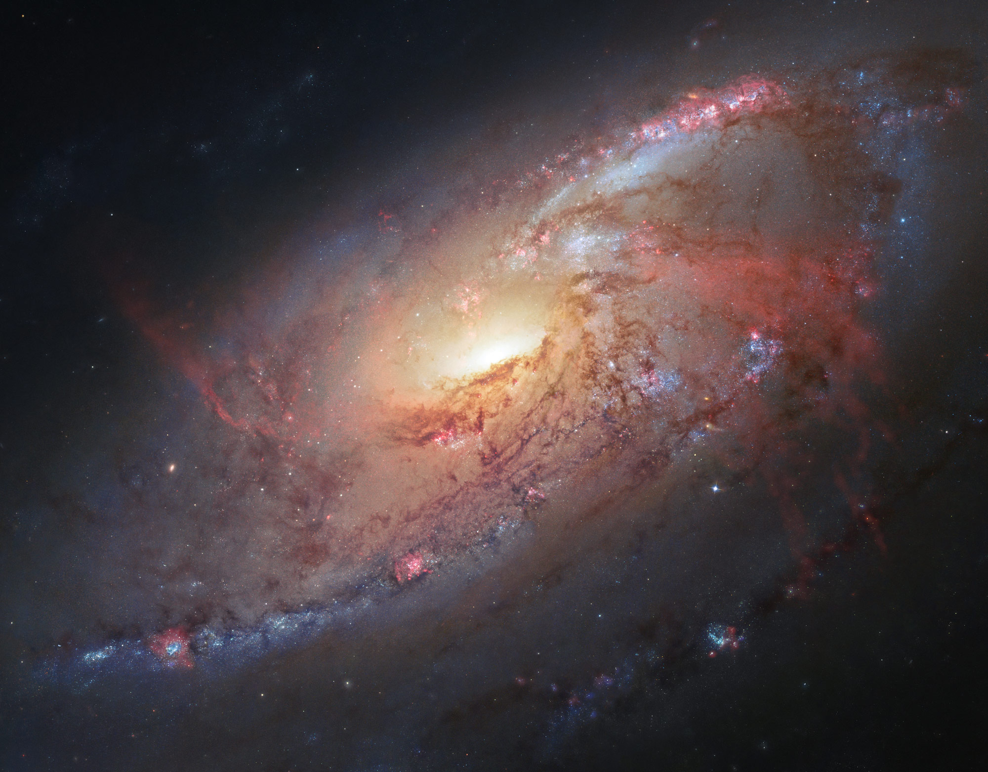 Unique Features of Spiral Galaxy Messier 106