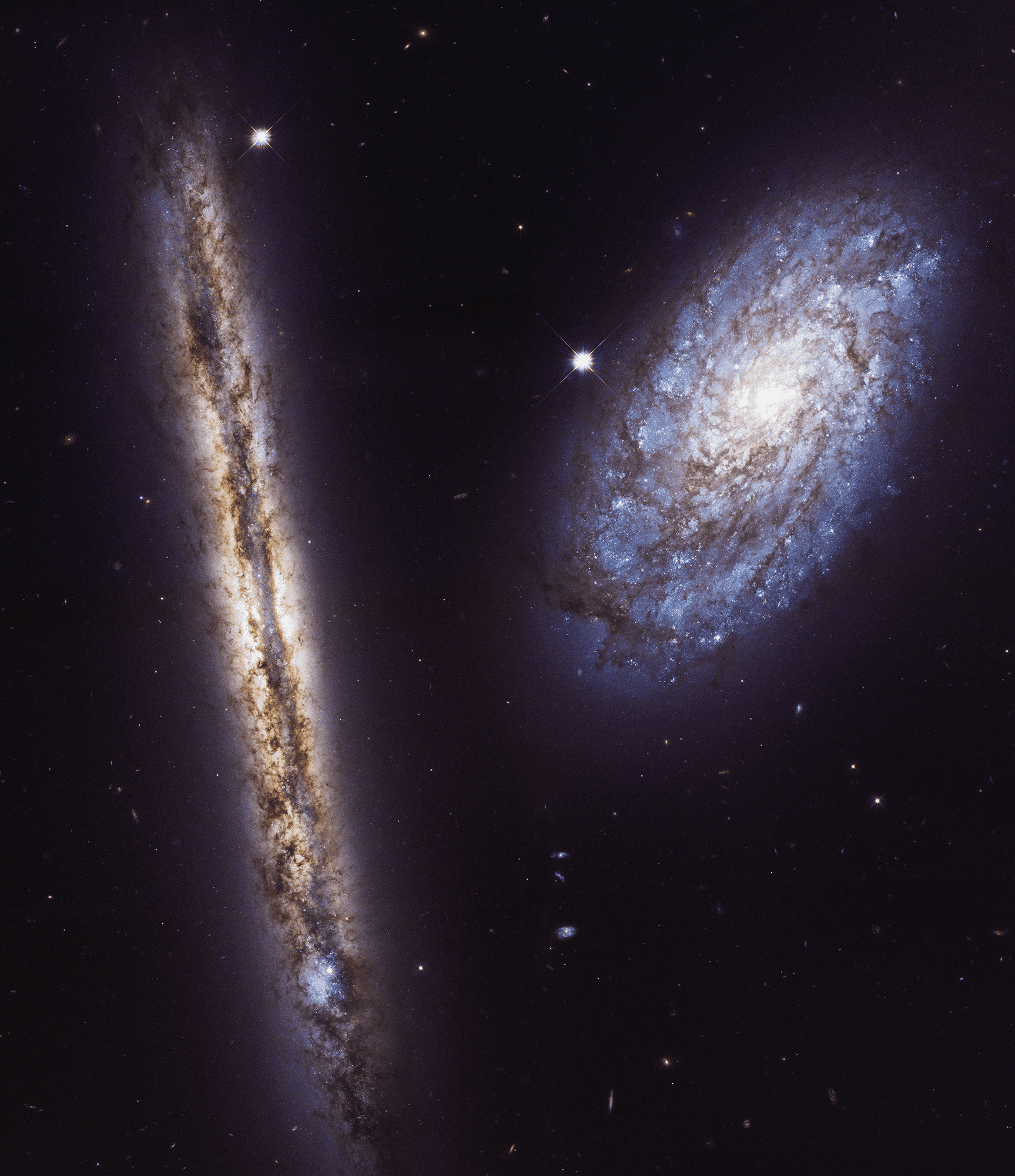 Spiral Galaxies: The Starry Snowflakes of the Cosmos