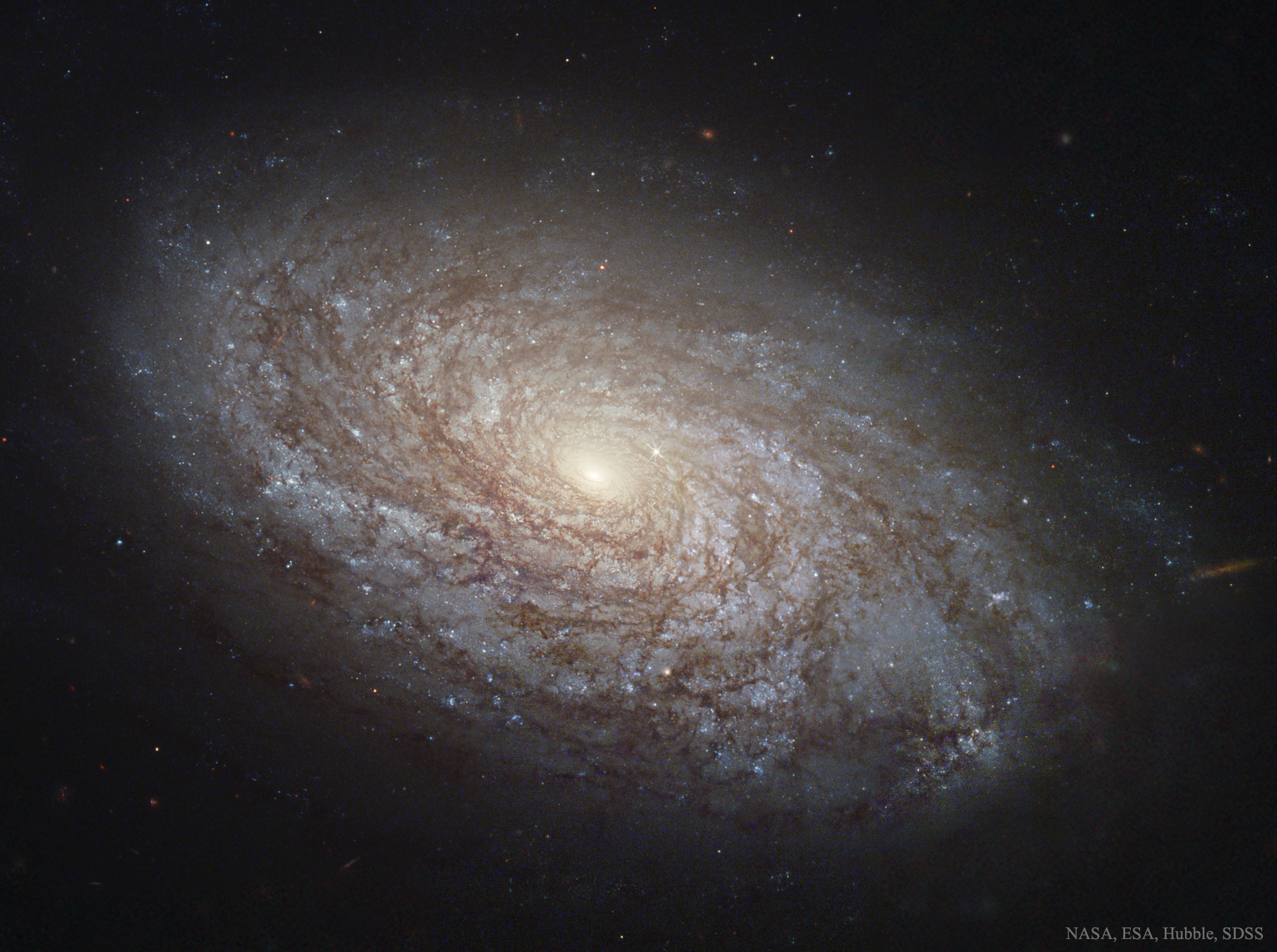 APOD: 2016 November 20 - NGC 4414: A Flocculent Spiral Galaxy
