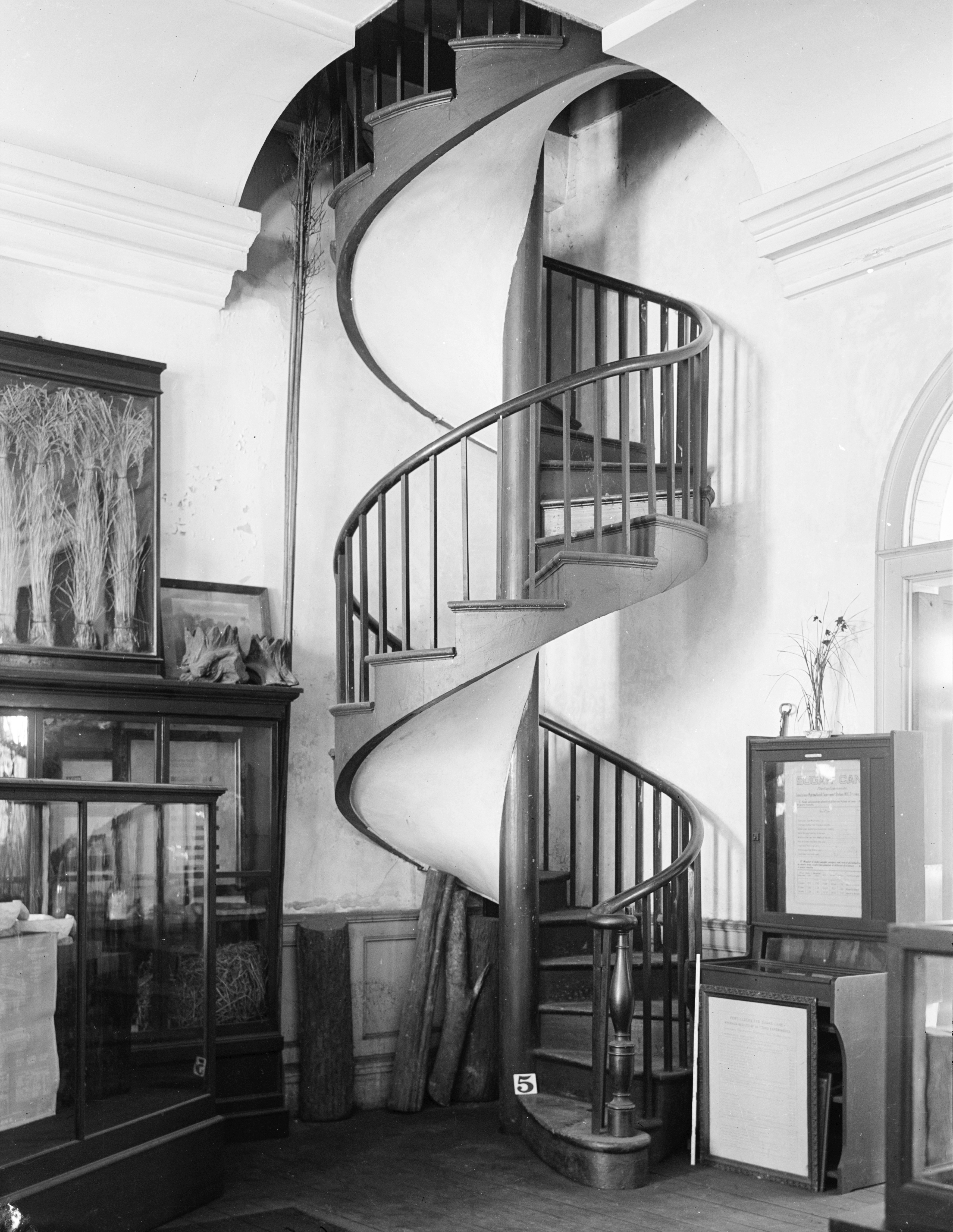 File:Spiral Staircase in the Presbytere New Orleans 1934.jpg ...