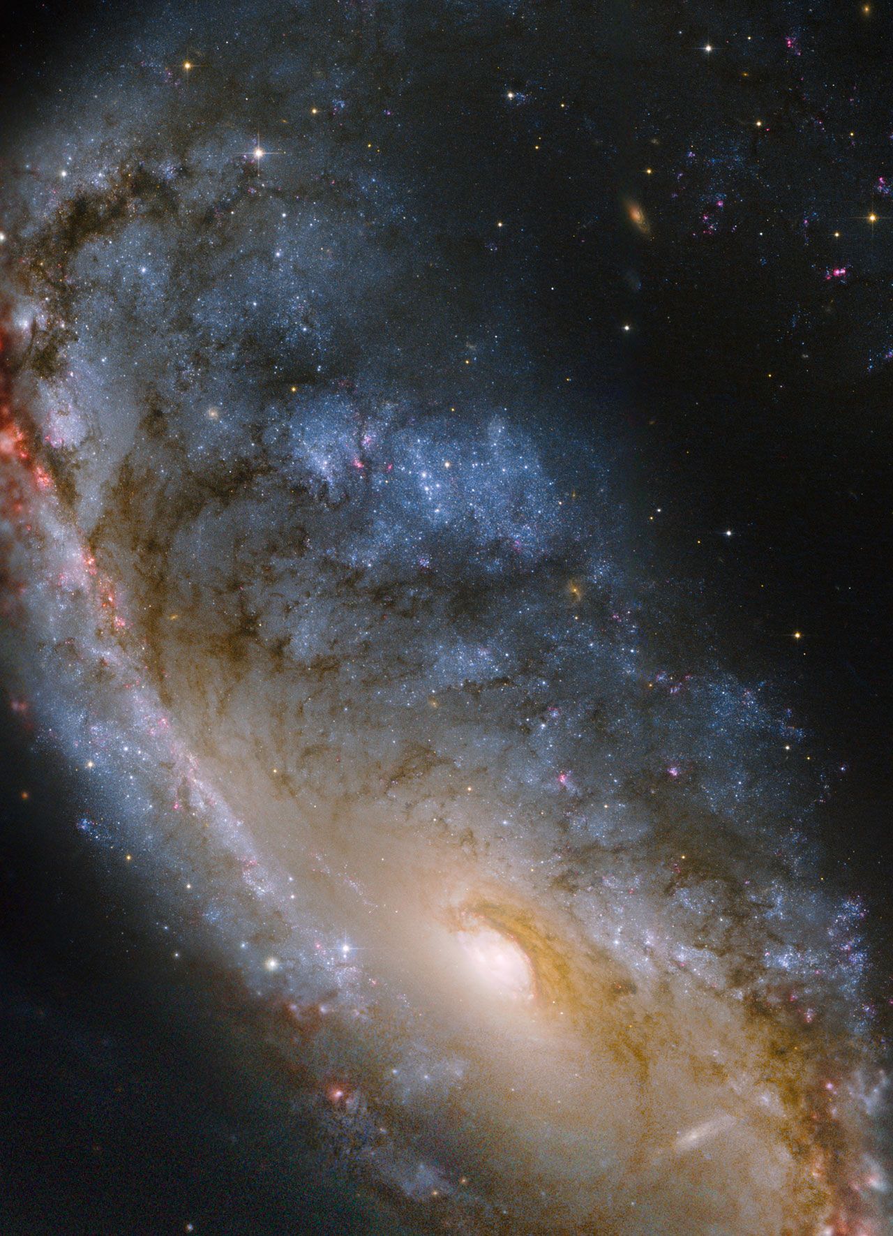 NGC 2442, aka the Meat Hook Galaxy | Starry Starry Night II ...