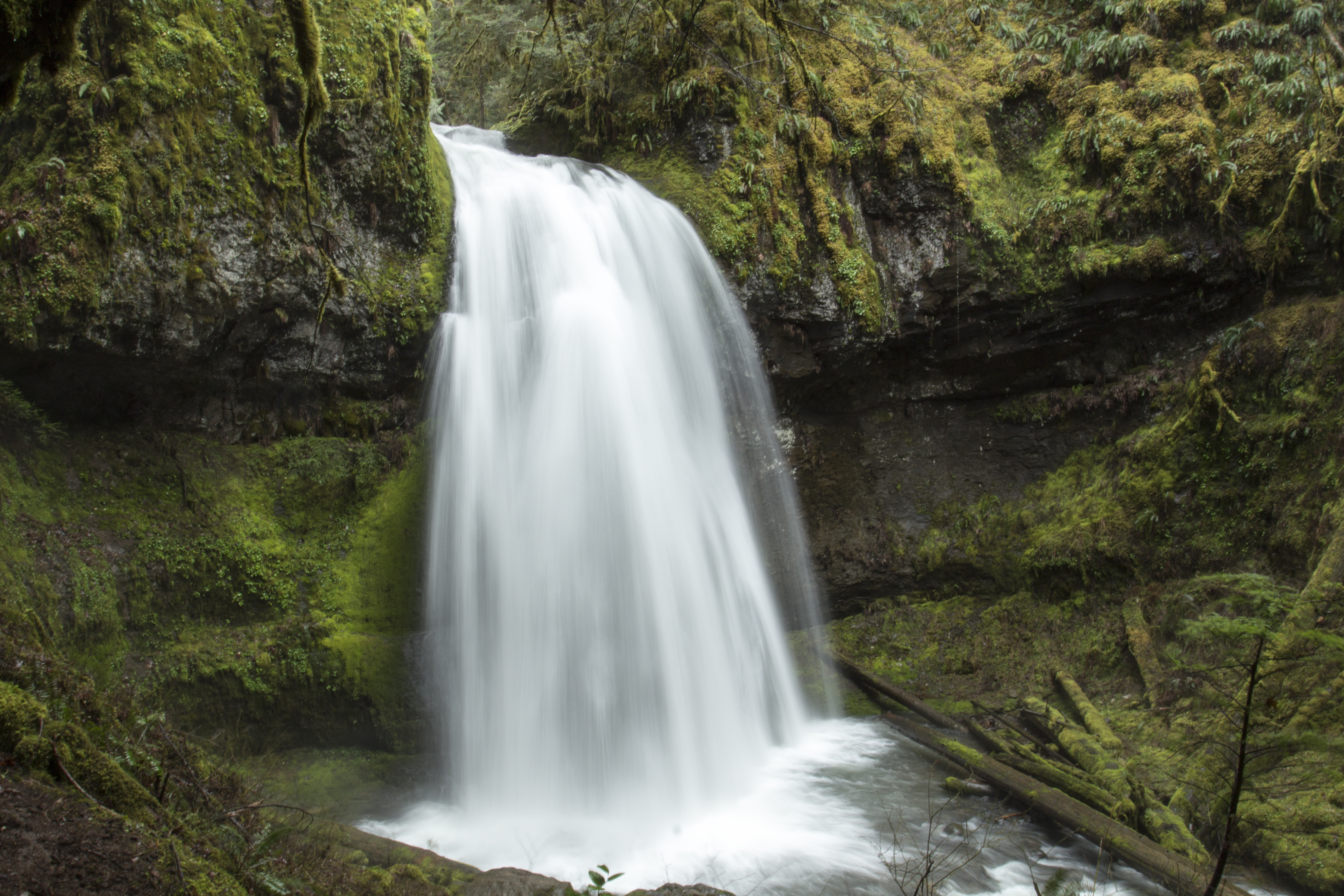 Spirit falls waterfall, oregon photo