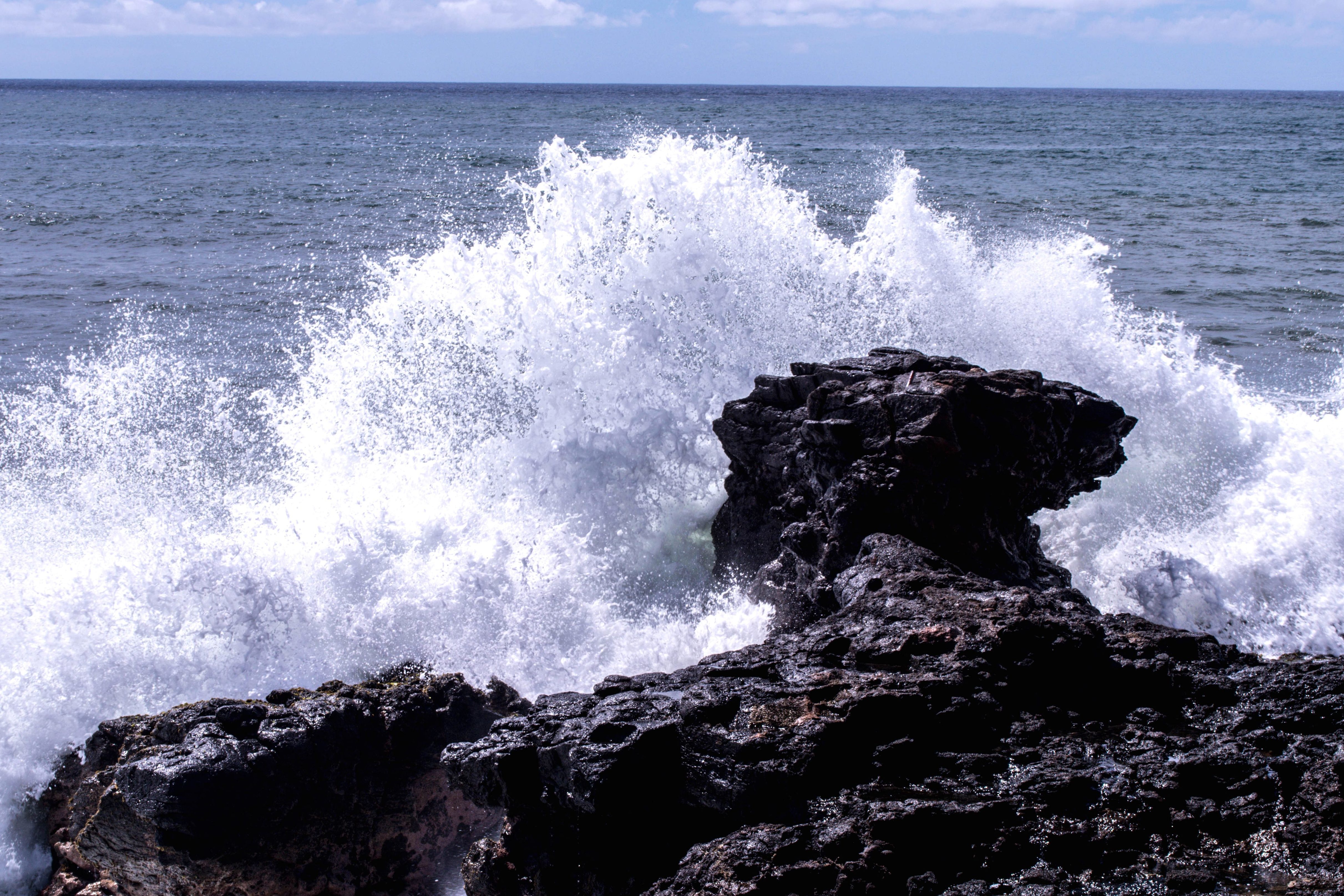 Free picture: rock, splash, ocean, water, sea, seashore, wave, beach ...
