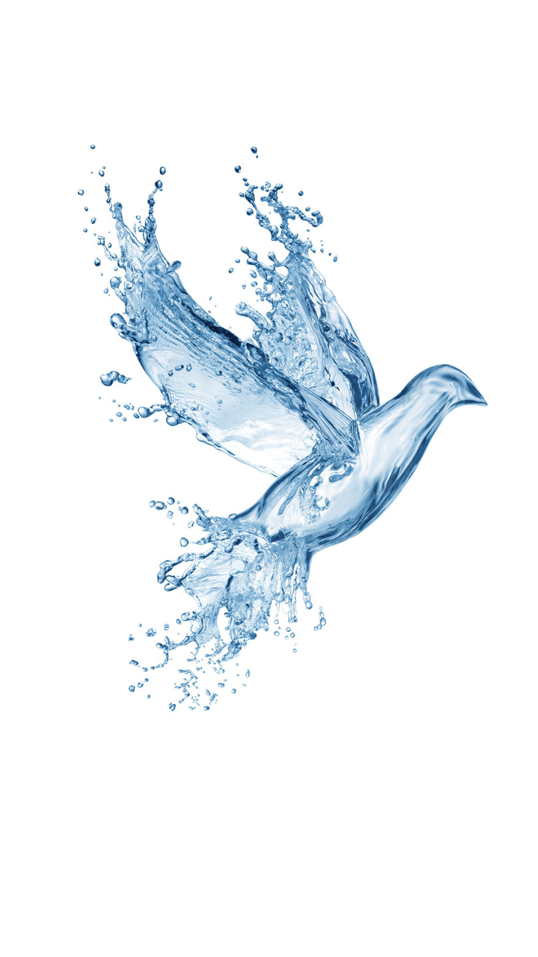 Water splashing birds S5 Wallpapers