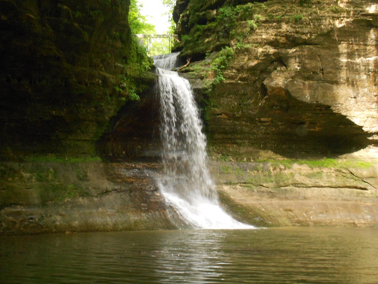 overgrown thoughts: Splash Waterfalls