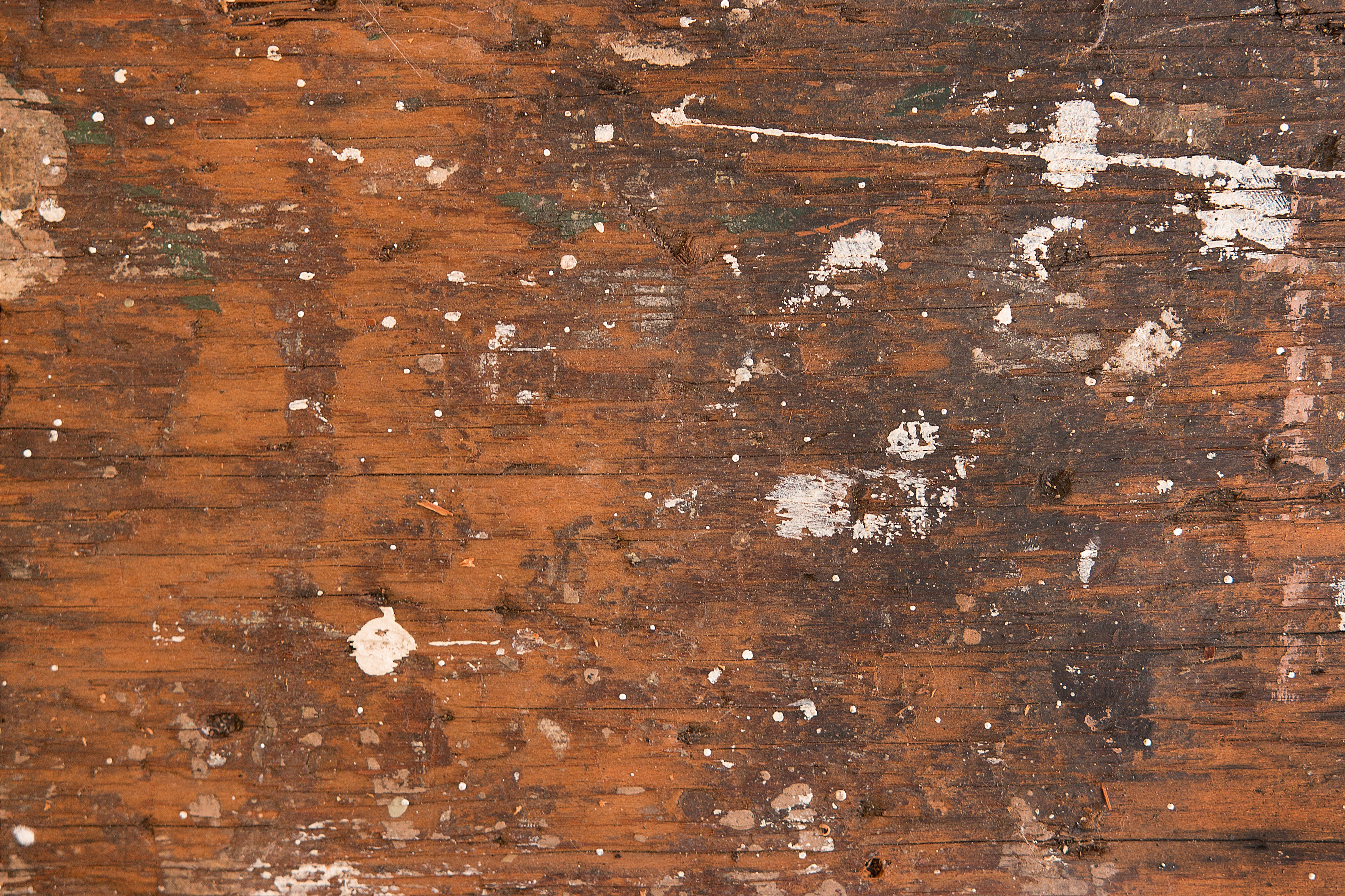 Paint Splattered Wood – Grain Bureau