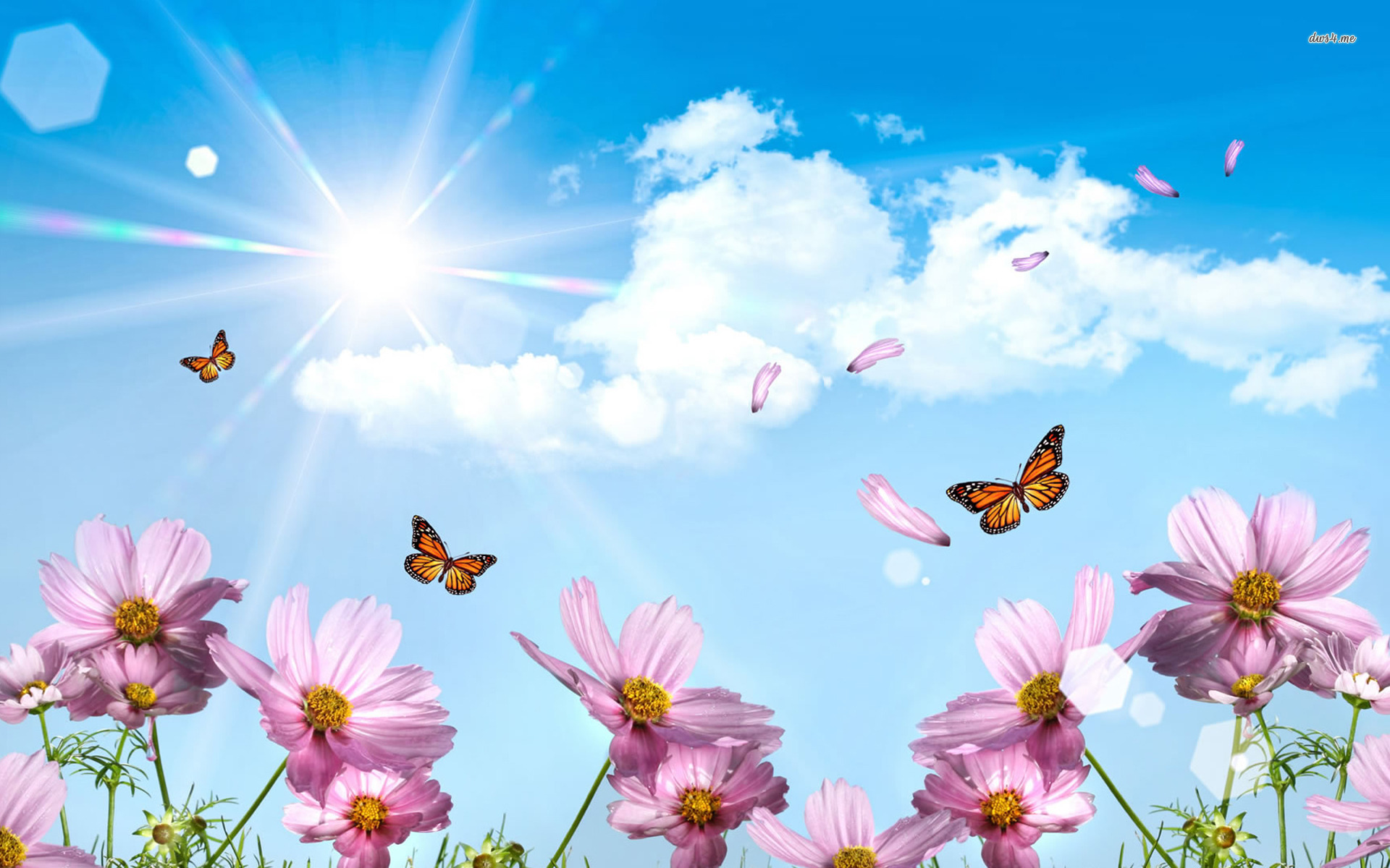 Spring Butterfly Wallpaper Desktop » Outdoors Wallpaper 1080p