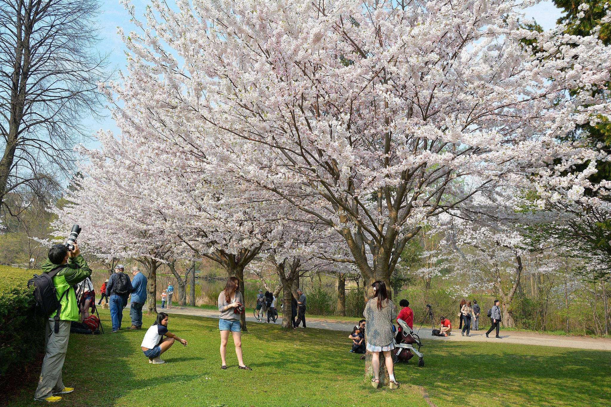 50 things to do this spring in Toronto