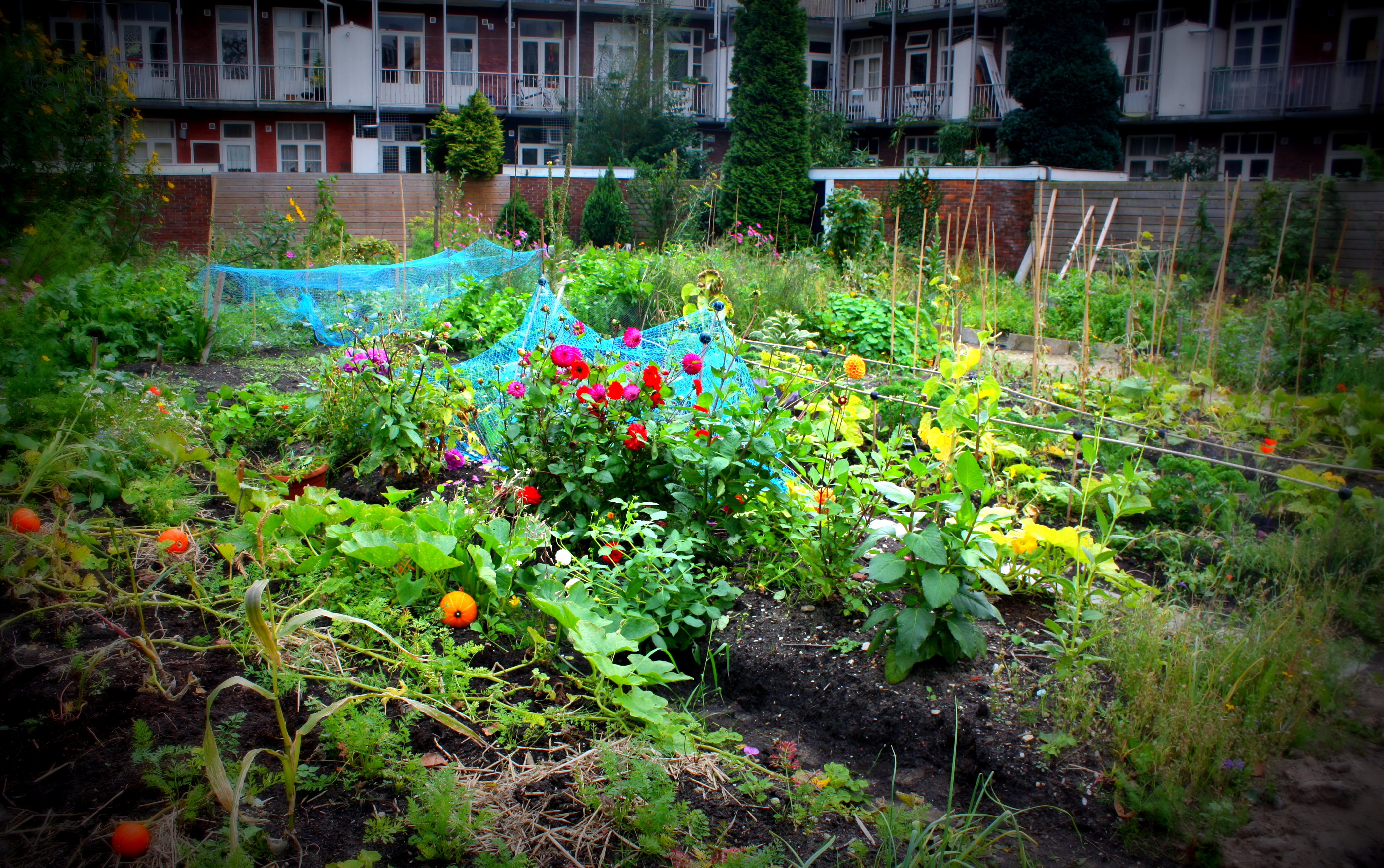 Preparing for the spring: urban agriculture style – The Urban Observer