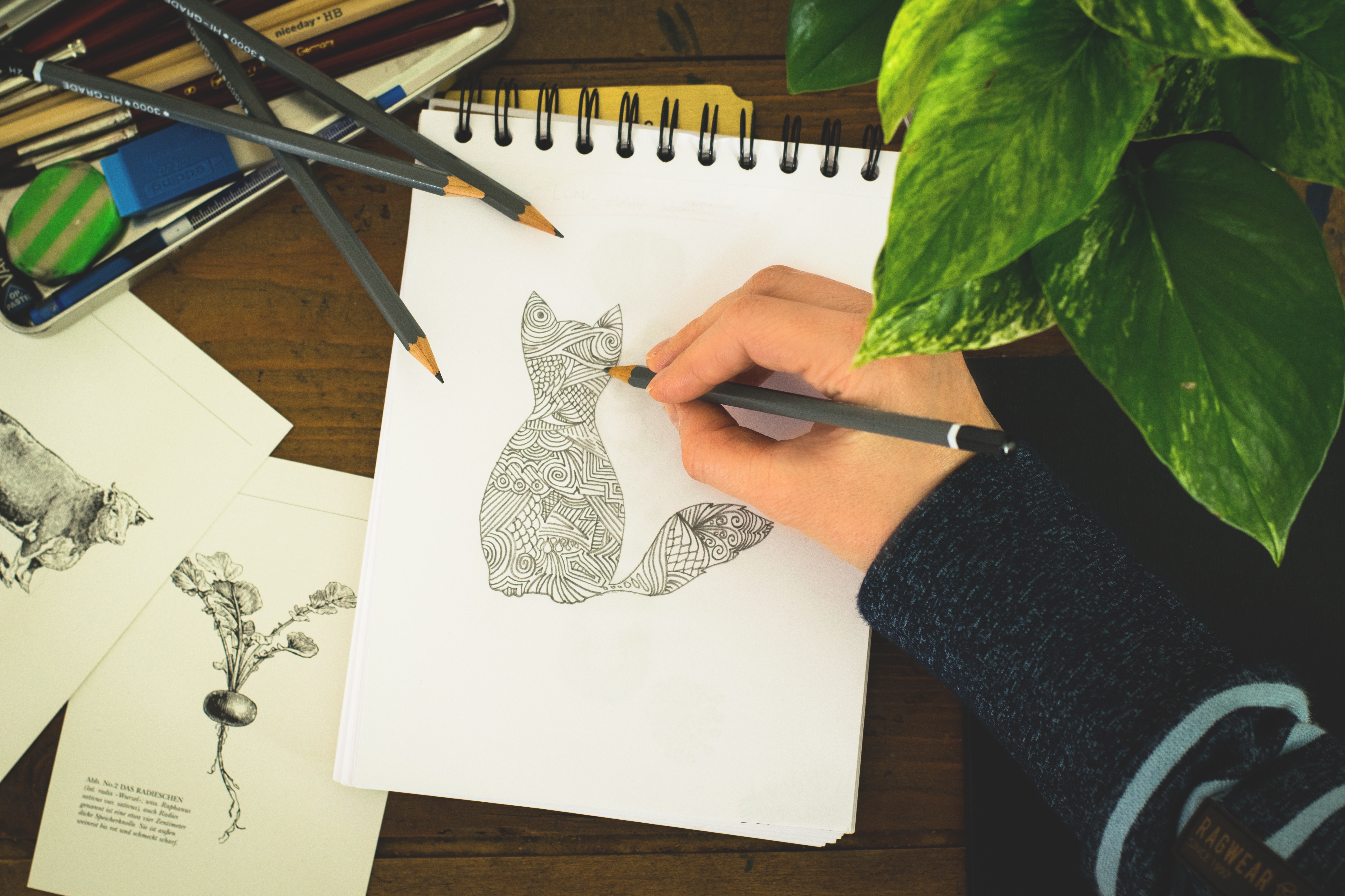 Spring Book With Feather Sketch · Free Stock Photo