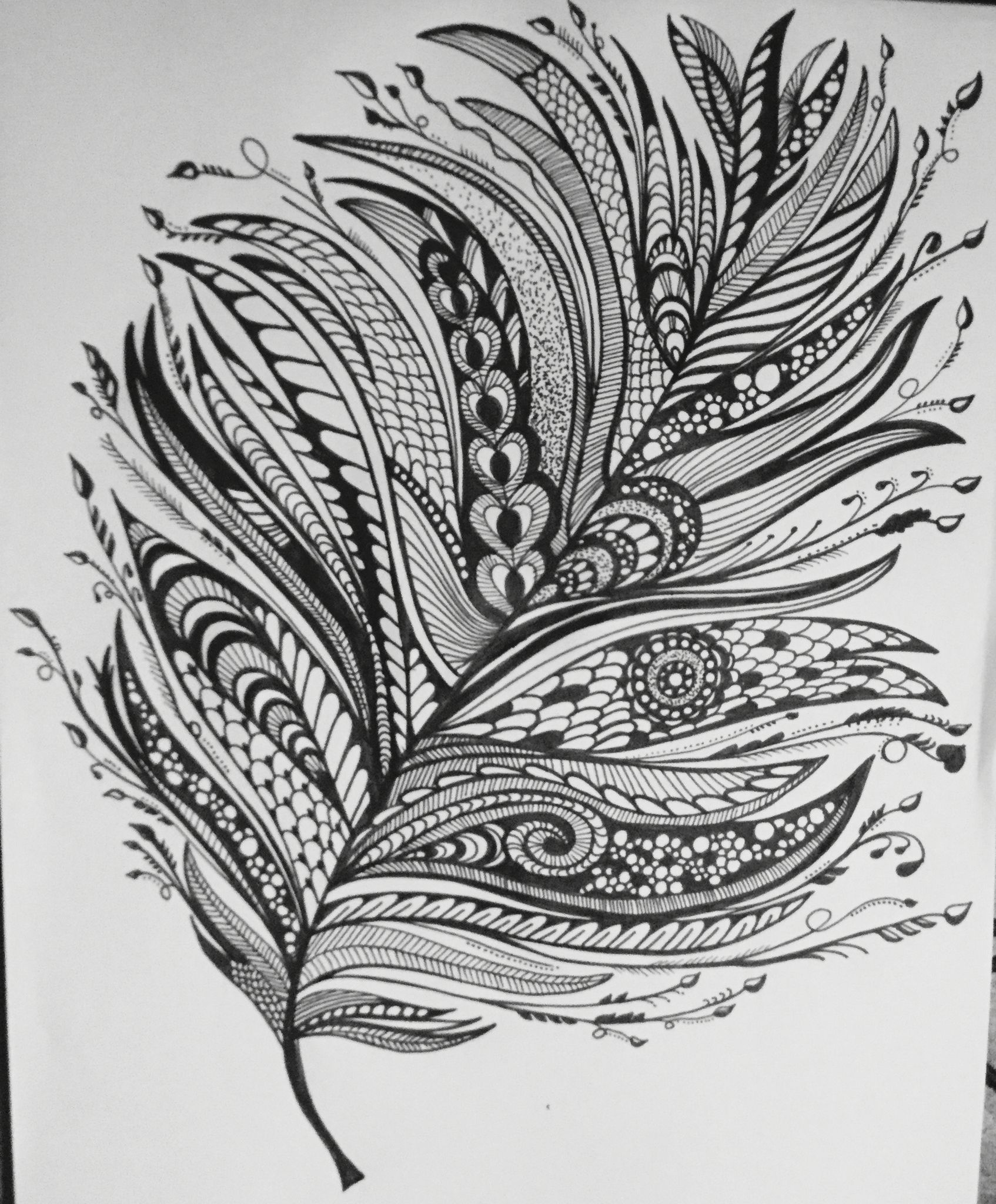 Feather dream | Feathers | Pinterest | Feathers, Doodles and Zentangles