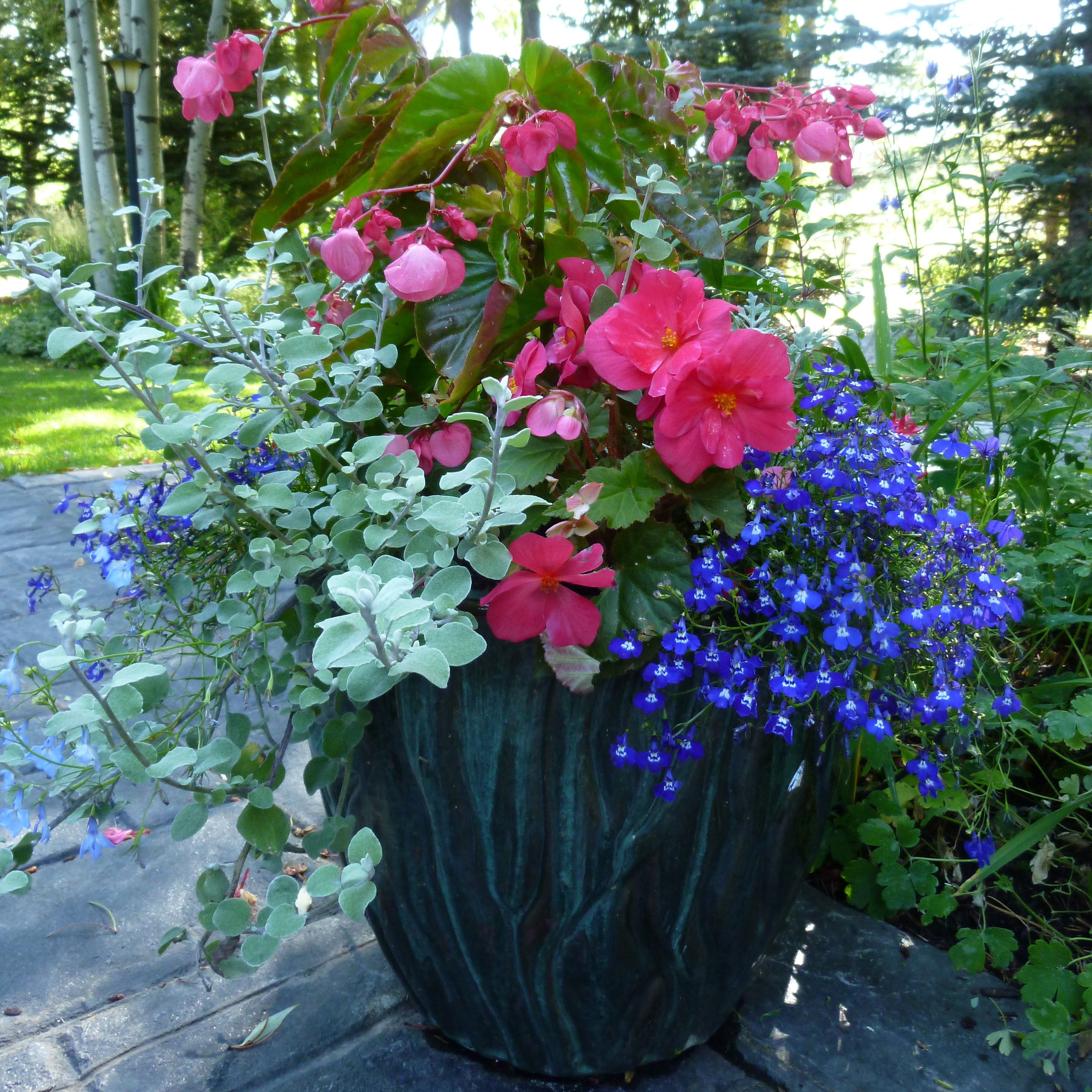 Gardening Services In Jackson Hole - Flower Girl Gardening | Flower ...