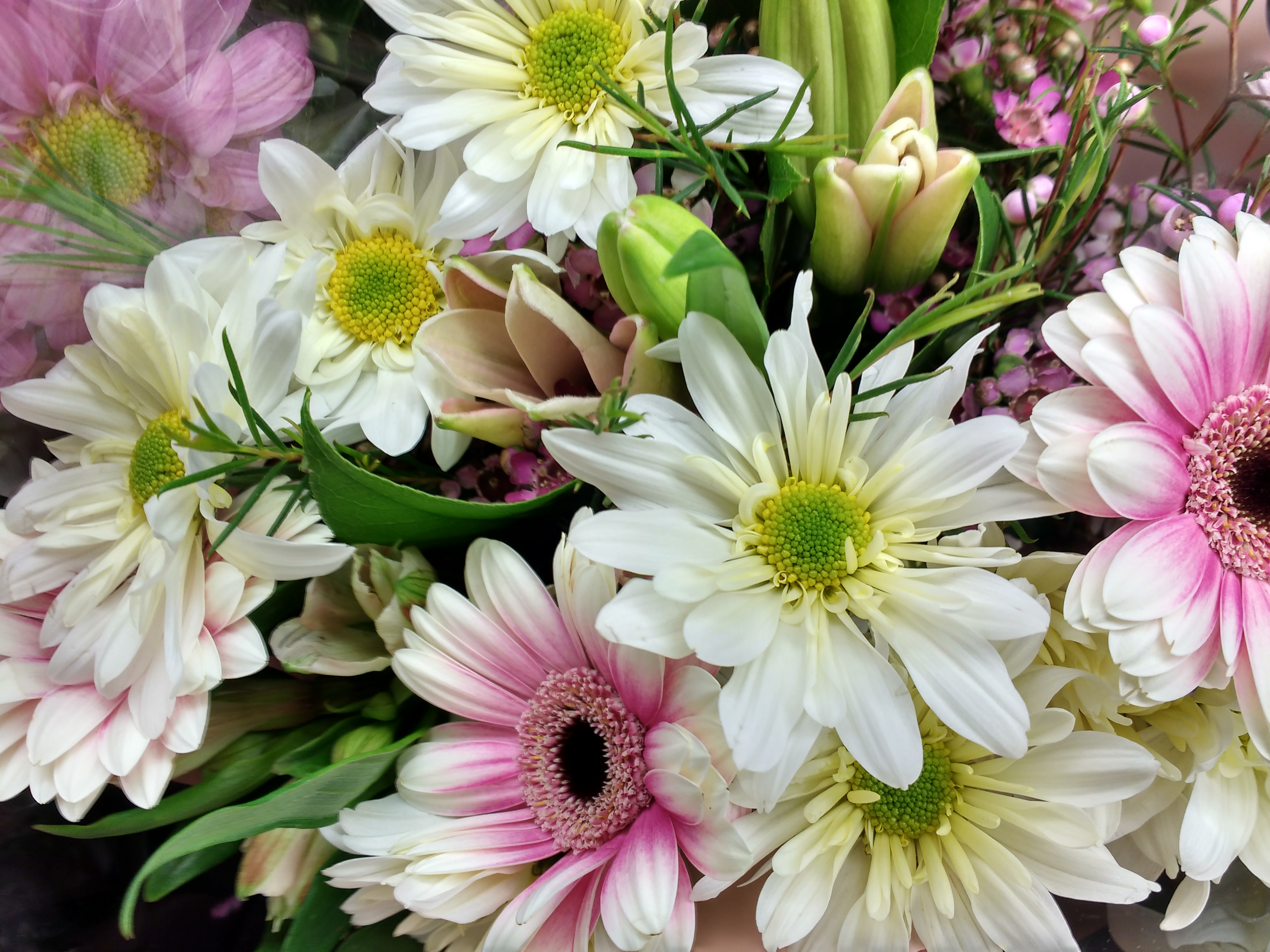 Spring Flowers Bouquet Close up Picture | Free Photograph | Photos ...