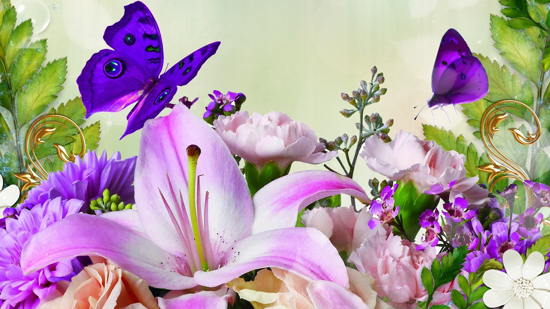 Живые бабочки с цветами. Яркие цветы. Бабочка на цветке. Открытки с цветами красивые. Красивые цветы.