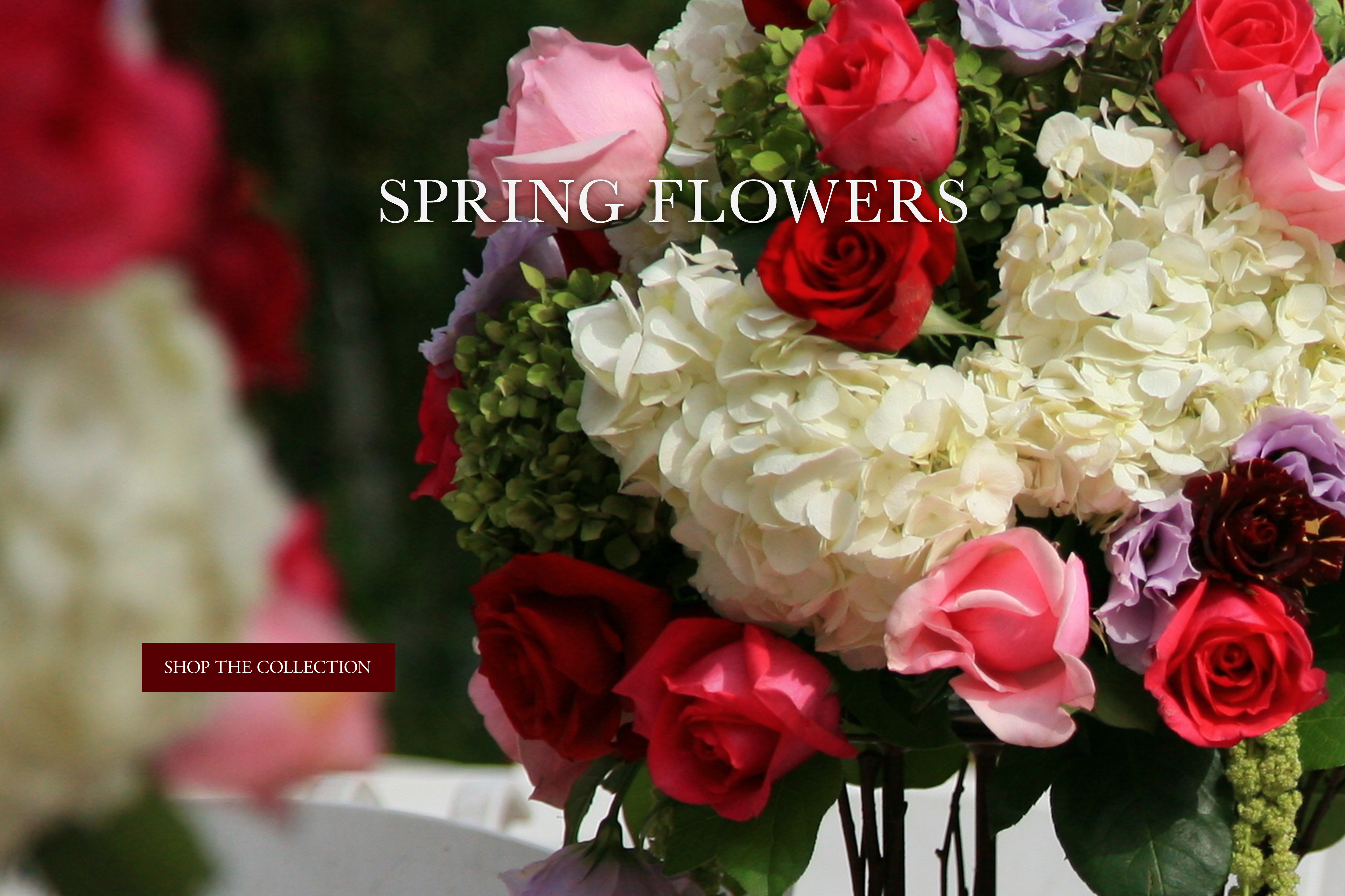 Encino Florist | Flower Delivery by Spring Flowers