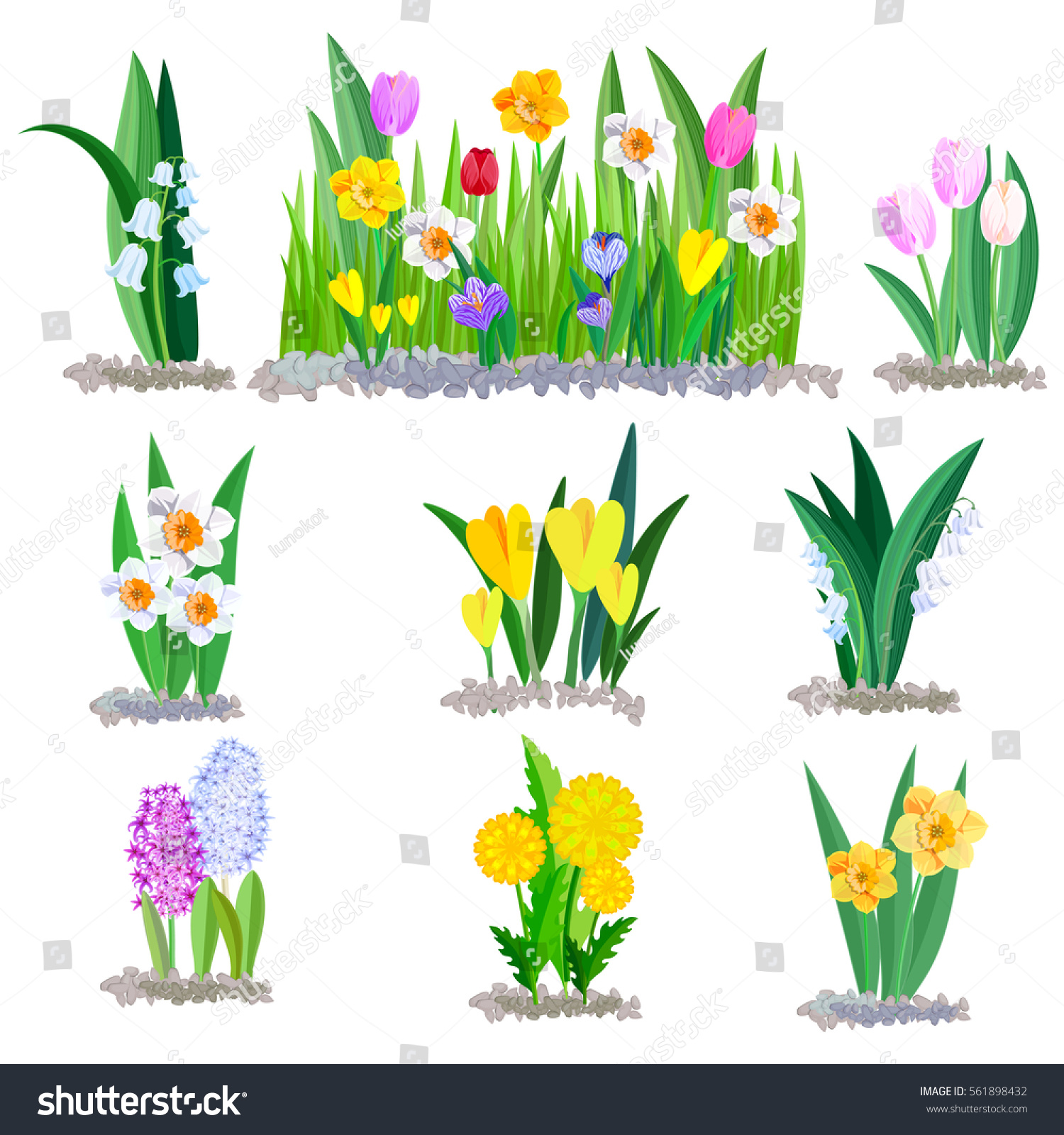 Spring Flowers Growing Garden Icons Borders Stock Vector (2018 ...