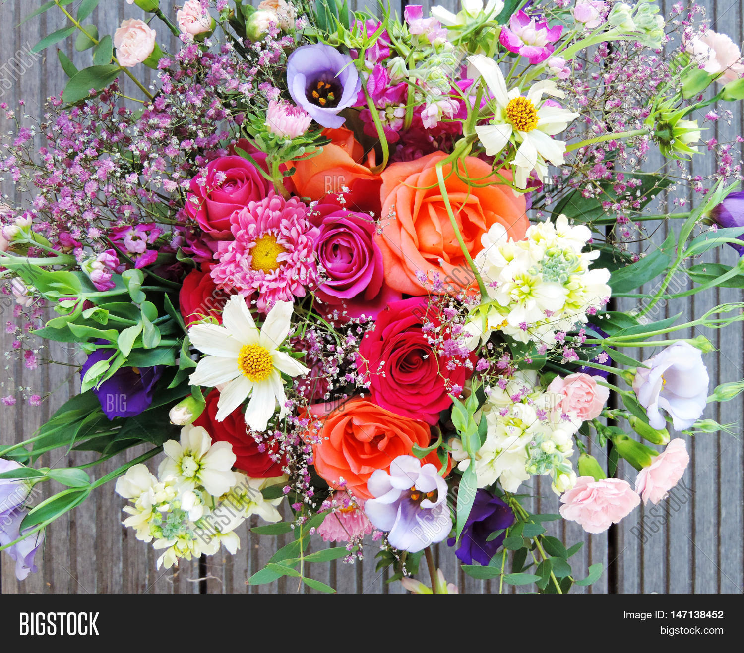 Multicolored Spring Flowers, Close Image & Photo | Bigstock