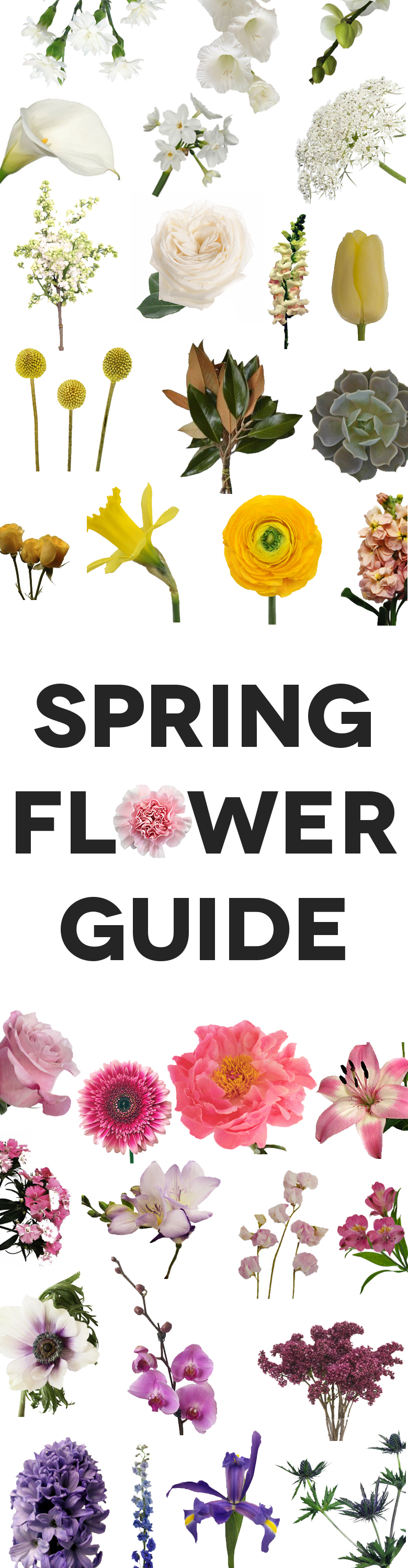 Spring Flowers: The Complete Guide | A Practical Wedding
