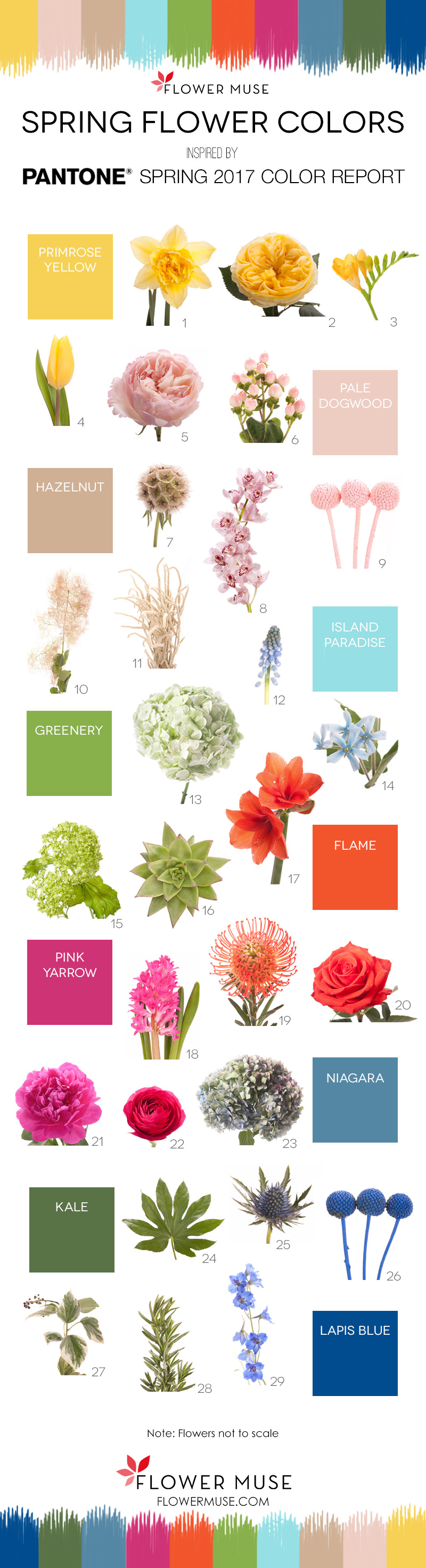 2017 Spring Flowers - Pantone Inspiration | Flower Muse Blog