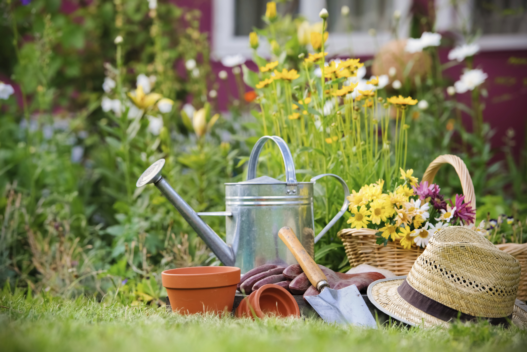 Preparing Your Garden for Spring: 5 TipsAbove & Beyond | Above ...