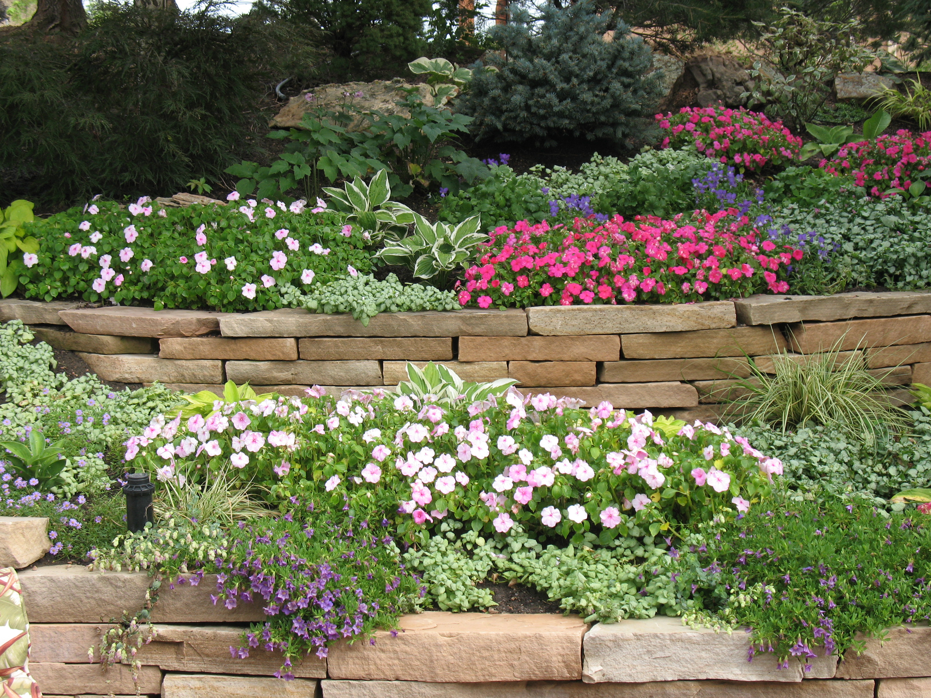 Landscape Plant Materials for Colorado Springs | Personal Touch ...
