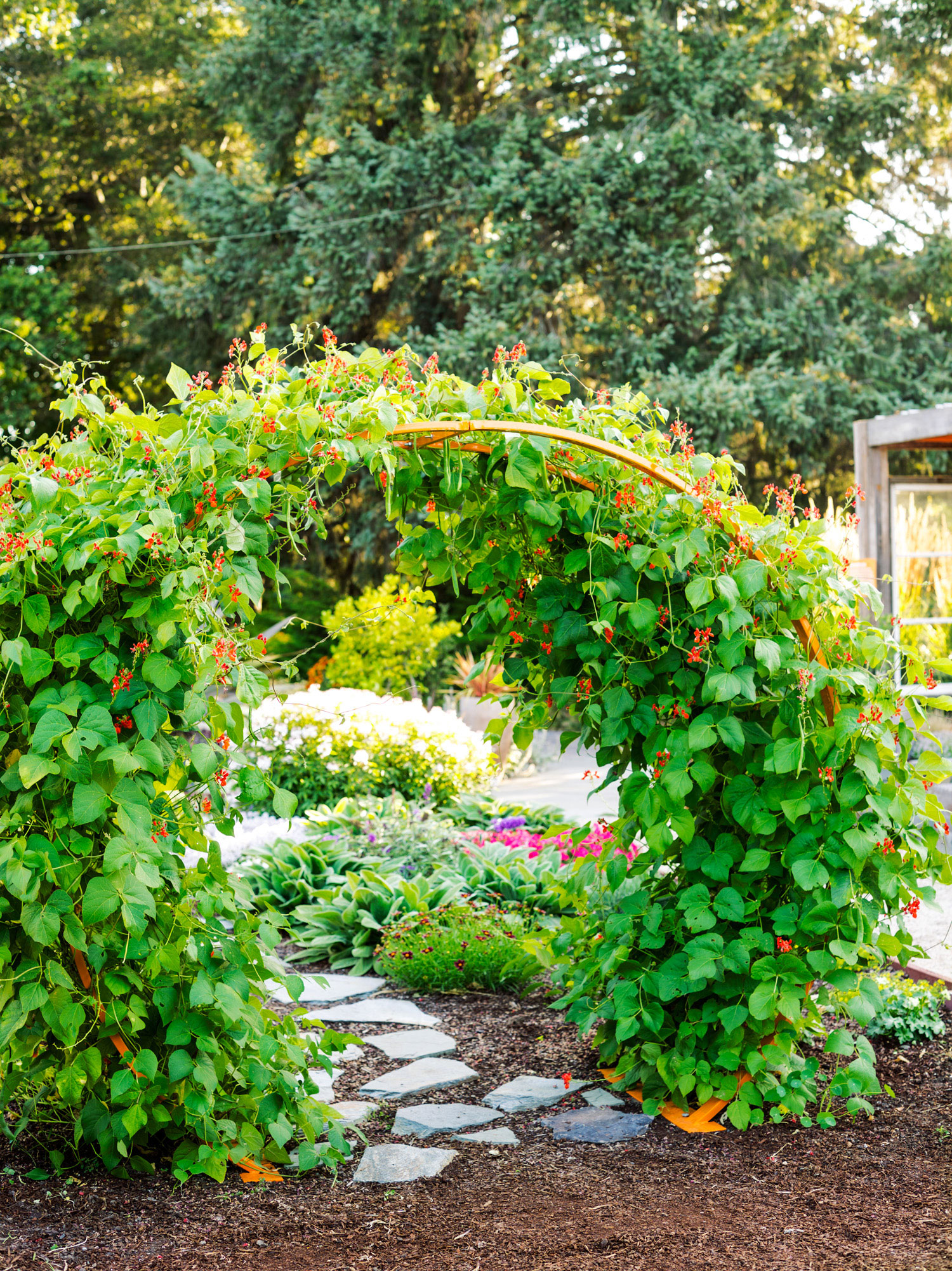 10 Ways to Kick-Start Your Spring Garden - Sunset Magazine
