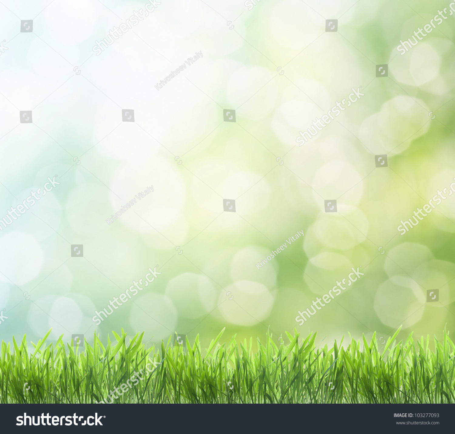Fresh Spring Green Grass Isolated On Stock Photo 103277093 ...