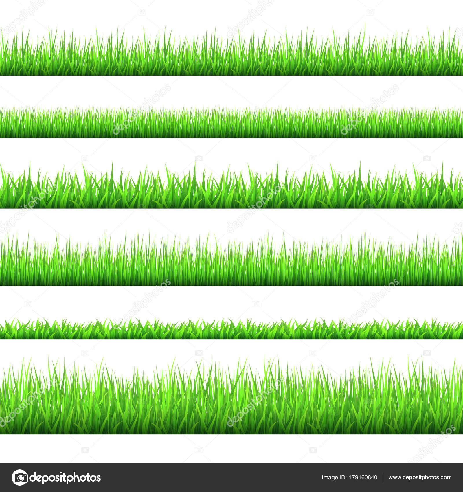 Spring green grass borders set isolated on white background. — Stock ...
