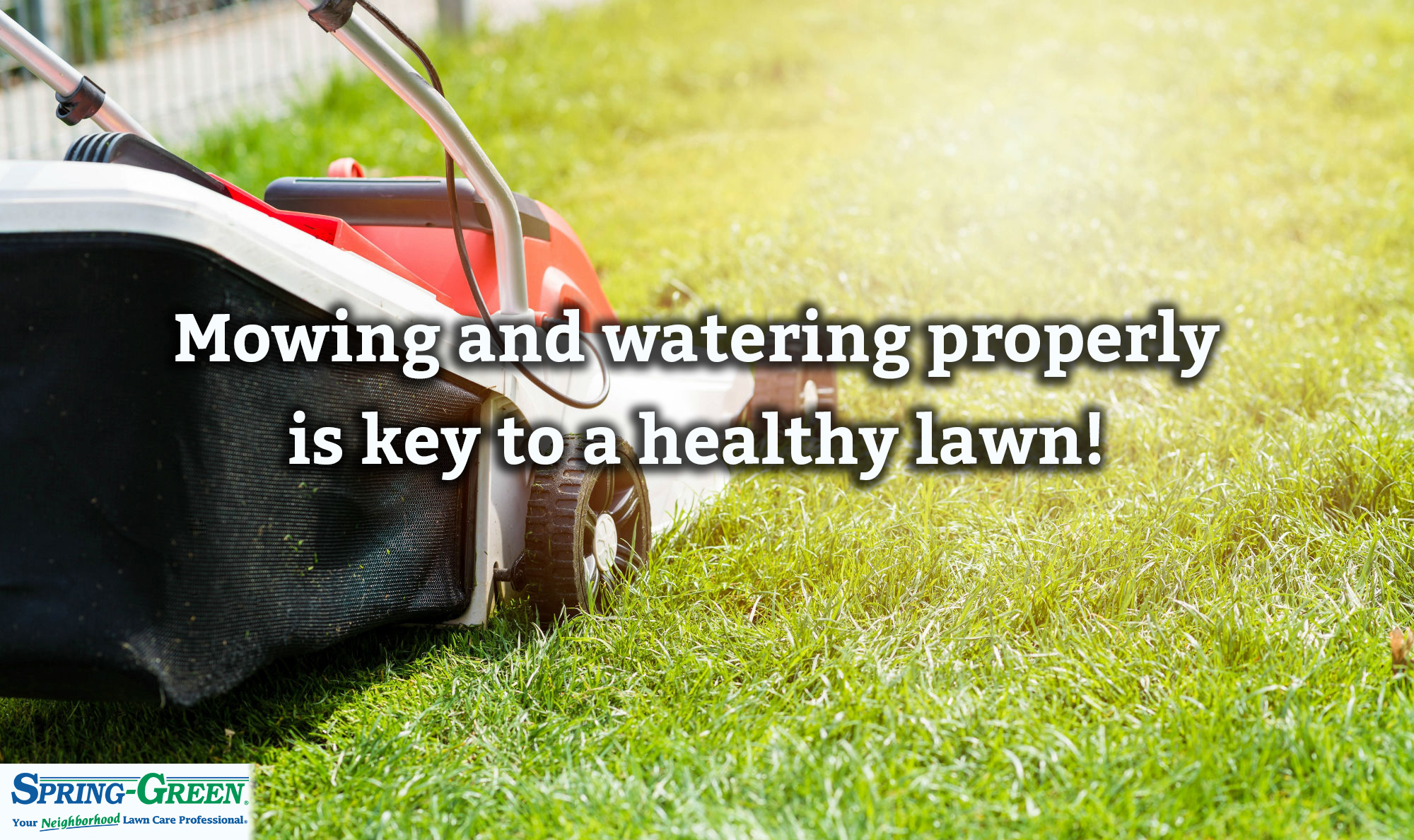 Summer Lawn Care: Mowing and Watering Tips - Spring Green