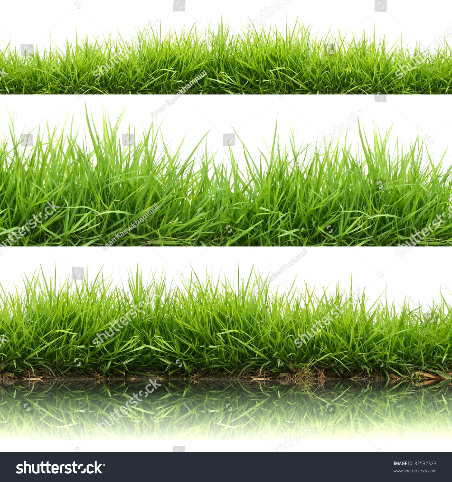 3 Style Fresh Spring Green Grass Stock Photo 82532323 - Shutterstock