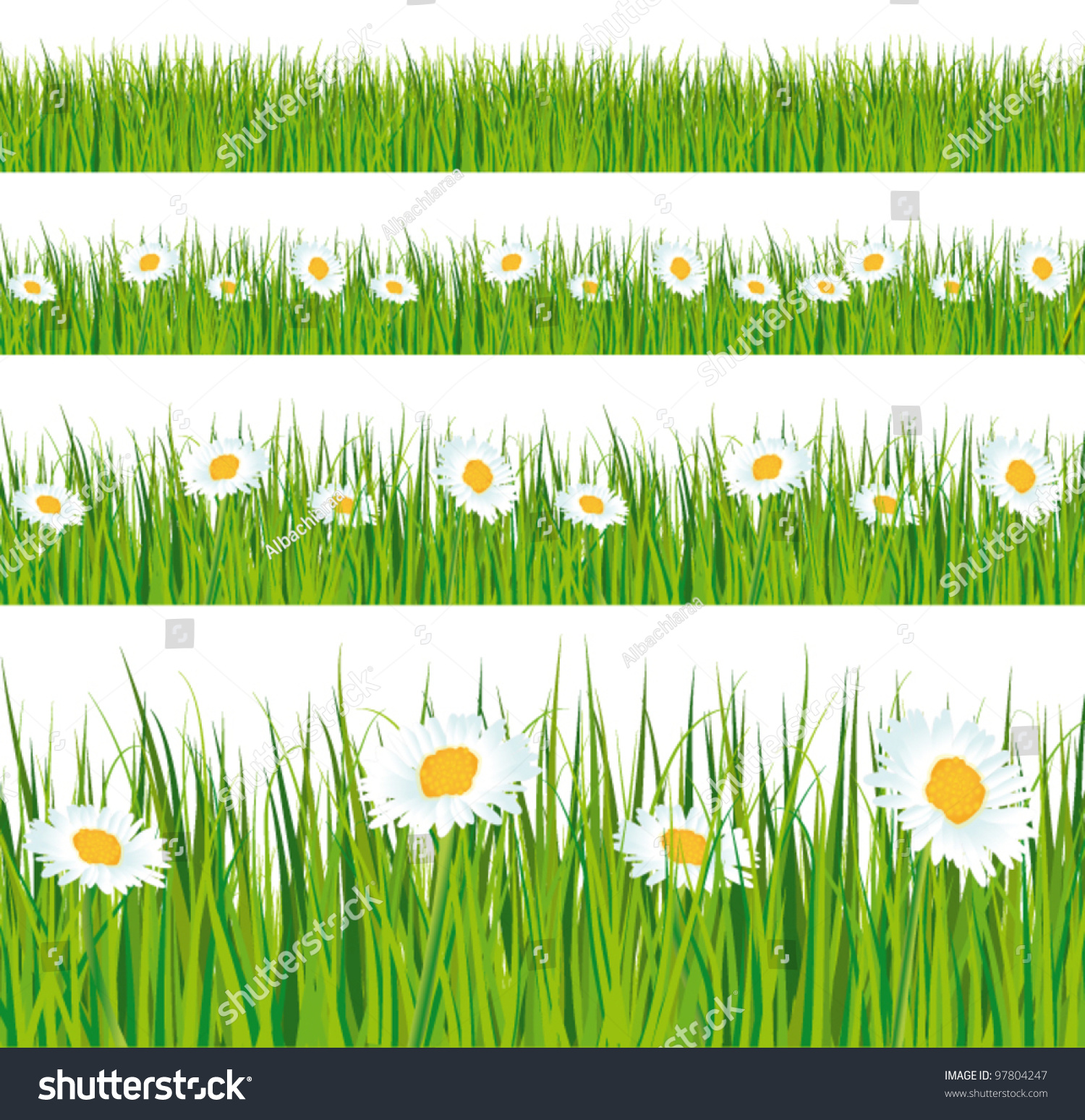 Green Grass Daisies Strips Foregrounds Vector Stock Vector (2018 ...