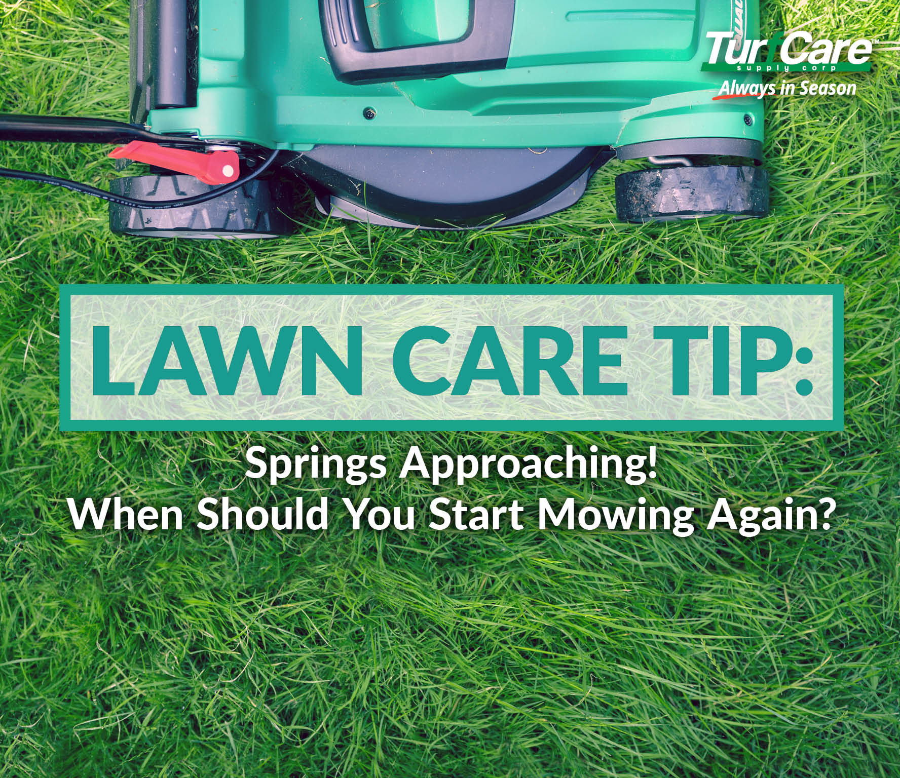 Lawn Care Tip: Springs Approaching! When is it Okay to Mow Again ...