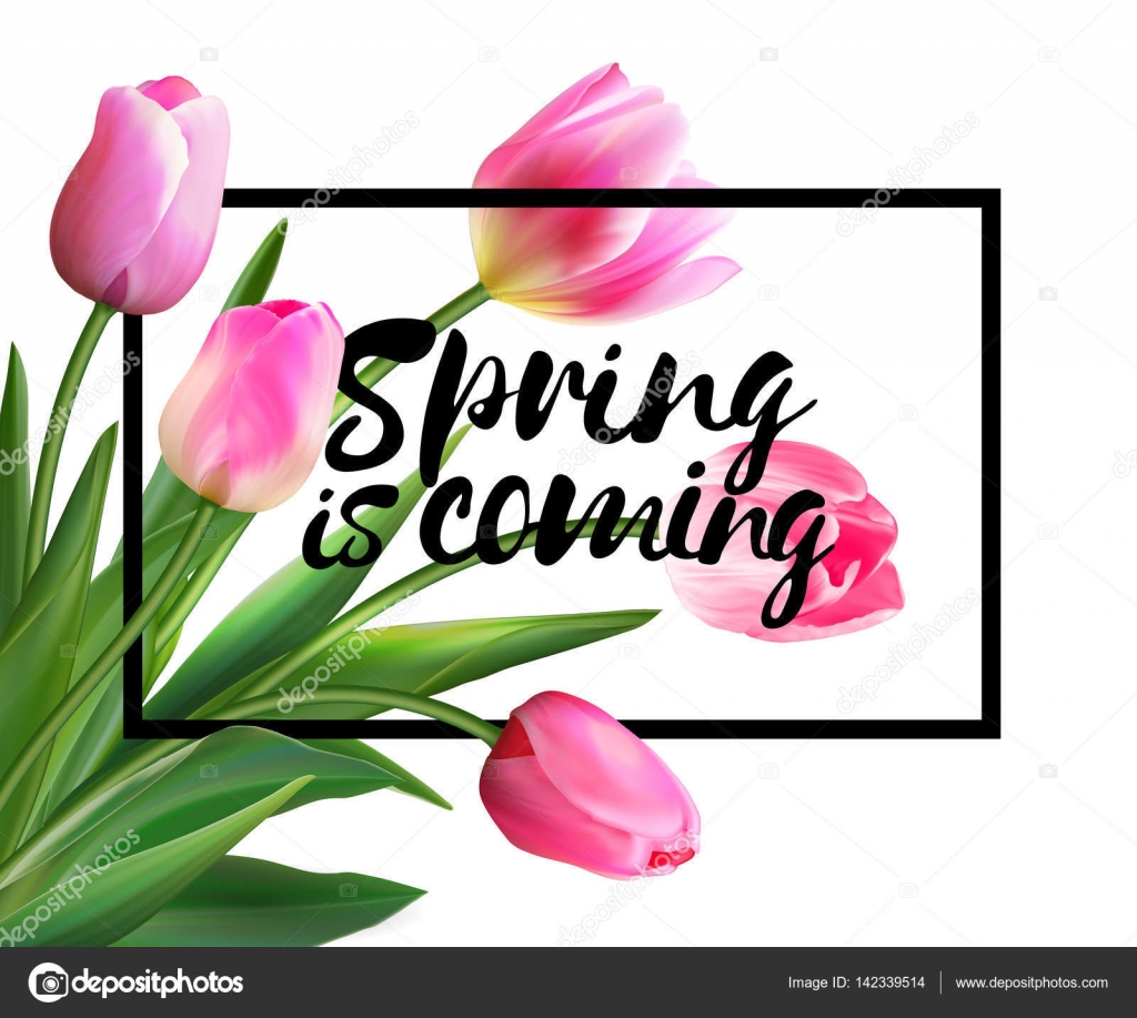 Spring is coming tulips flowers background with lettering. Vector ...
