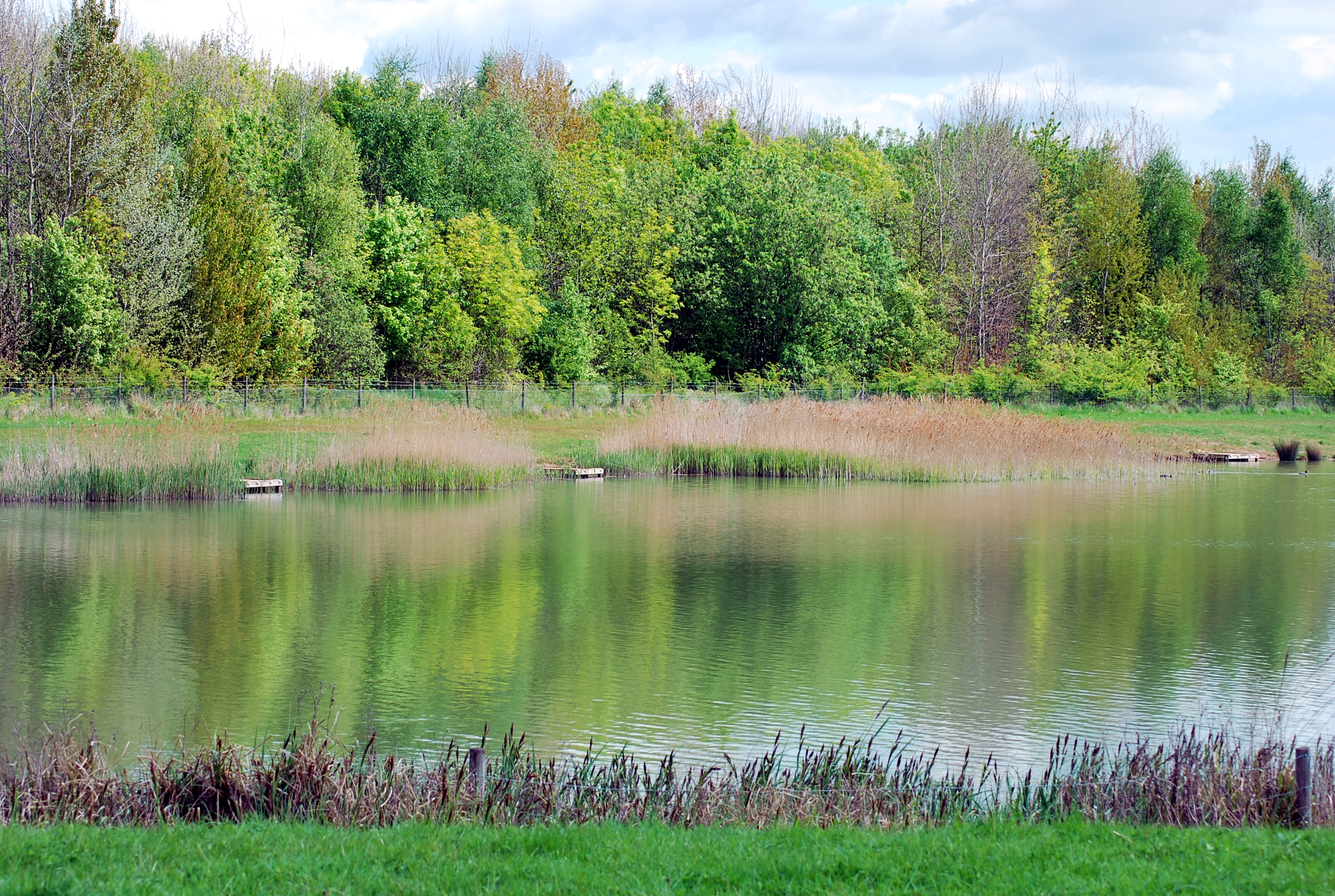 File:CCP spring lake.JPG - Wikimedia Commons