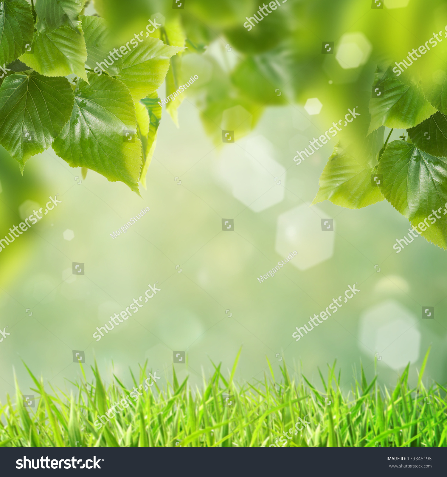 Spring Leaves Stock Photo (Royalty Free) 179345198 - Shutterstock