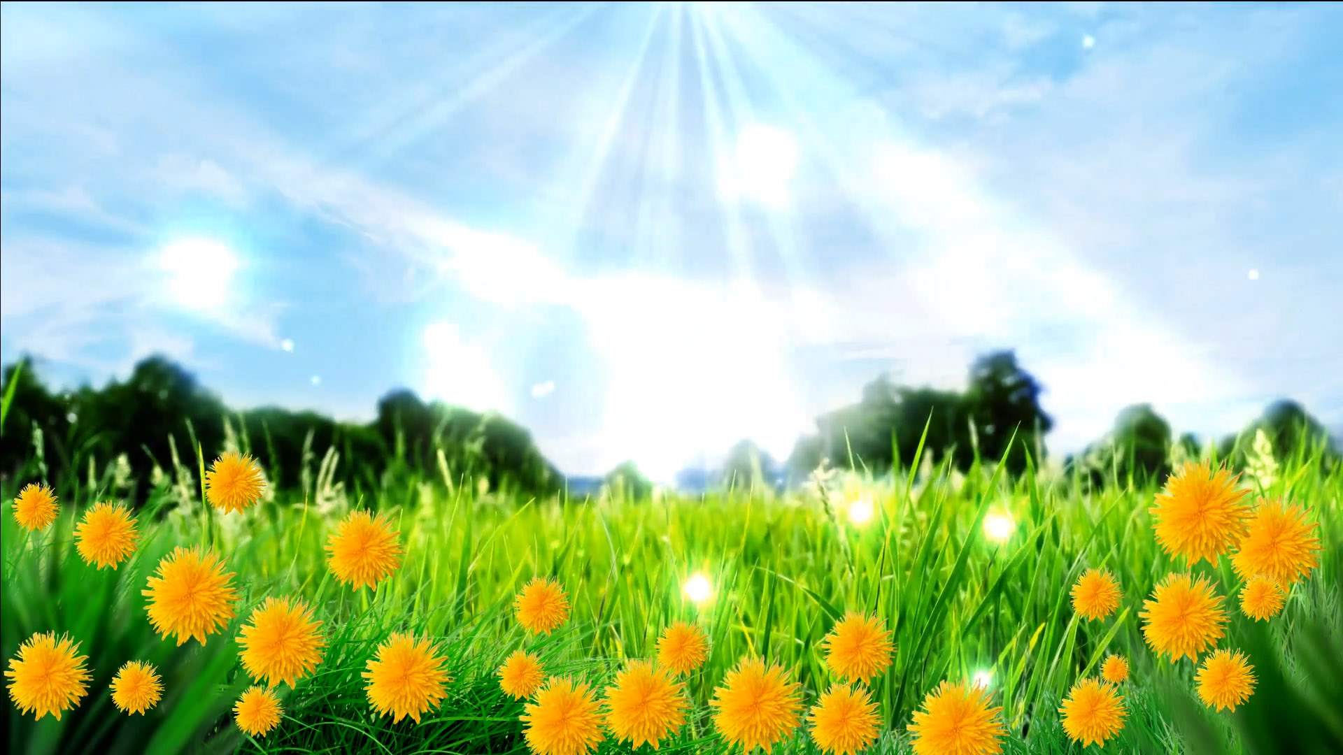 Buy animated yellow flowers frame video background on green grass.